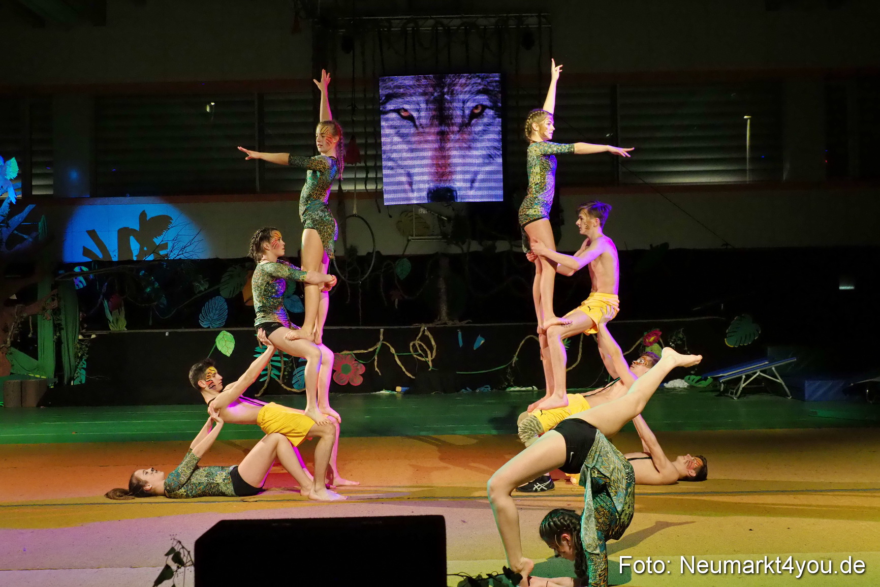 Artico Artistical Dschungelbuch 260220 0200