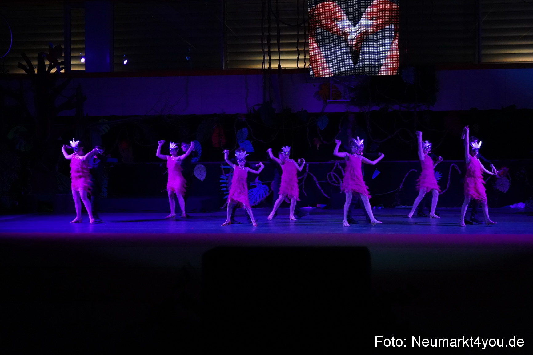 Artico Artistical Dschungelbuch 260220 0210