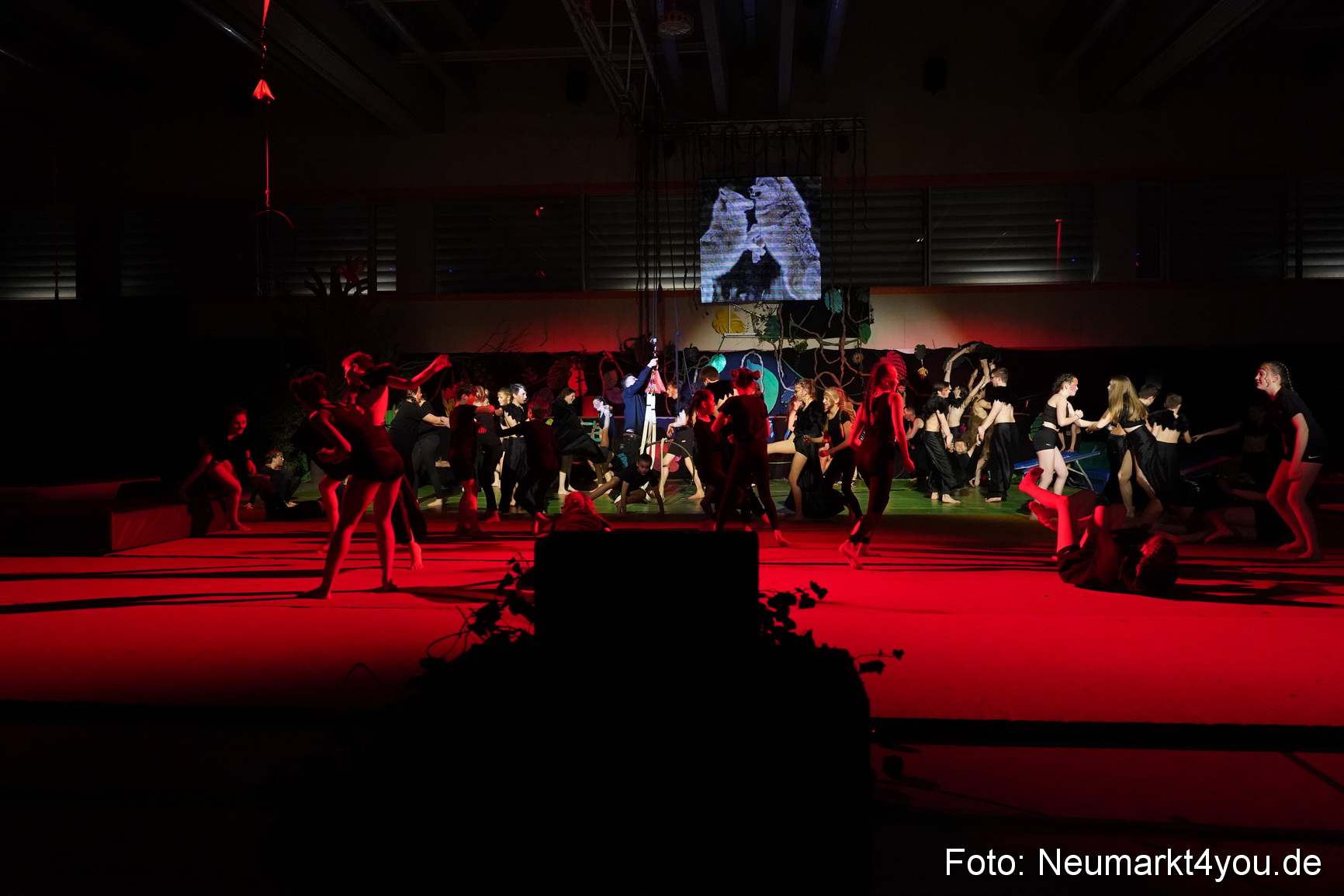 Artico Artistical Dschungelbuch 260220 0214