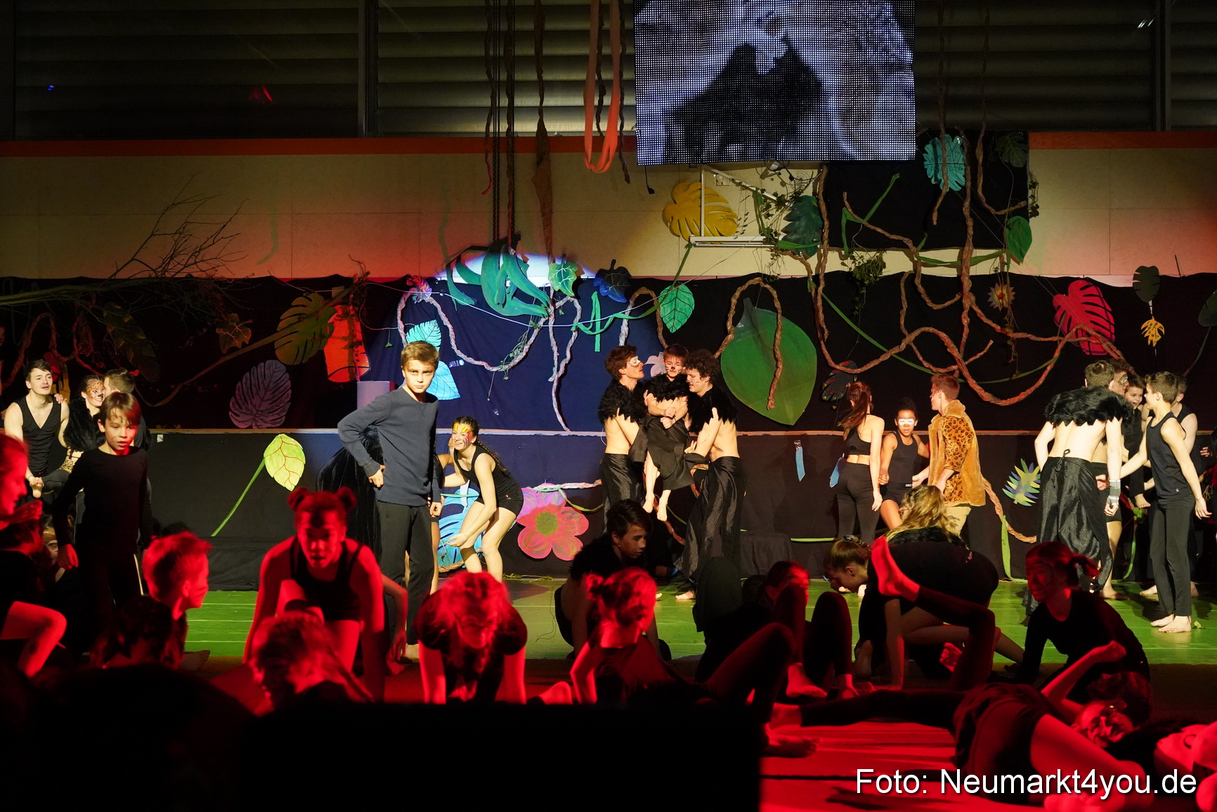 Artico Artistical Dschungelbuch 260220 0215