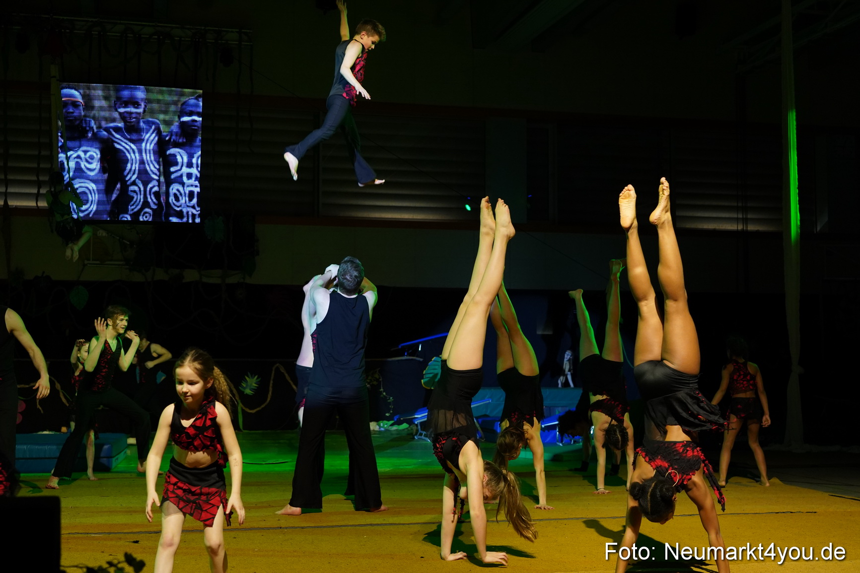 Artico Artistical Dschungelbuch 260220 0224