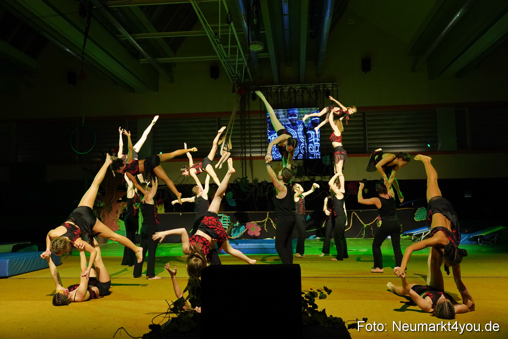 Artico Artistical Dschungelbuch 260220 0226