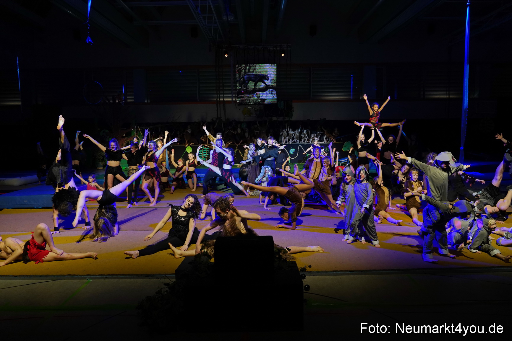 Artico Artistical Dschungelbuch 260220 0251