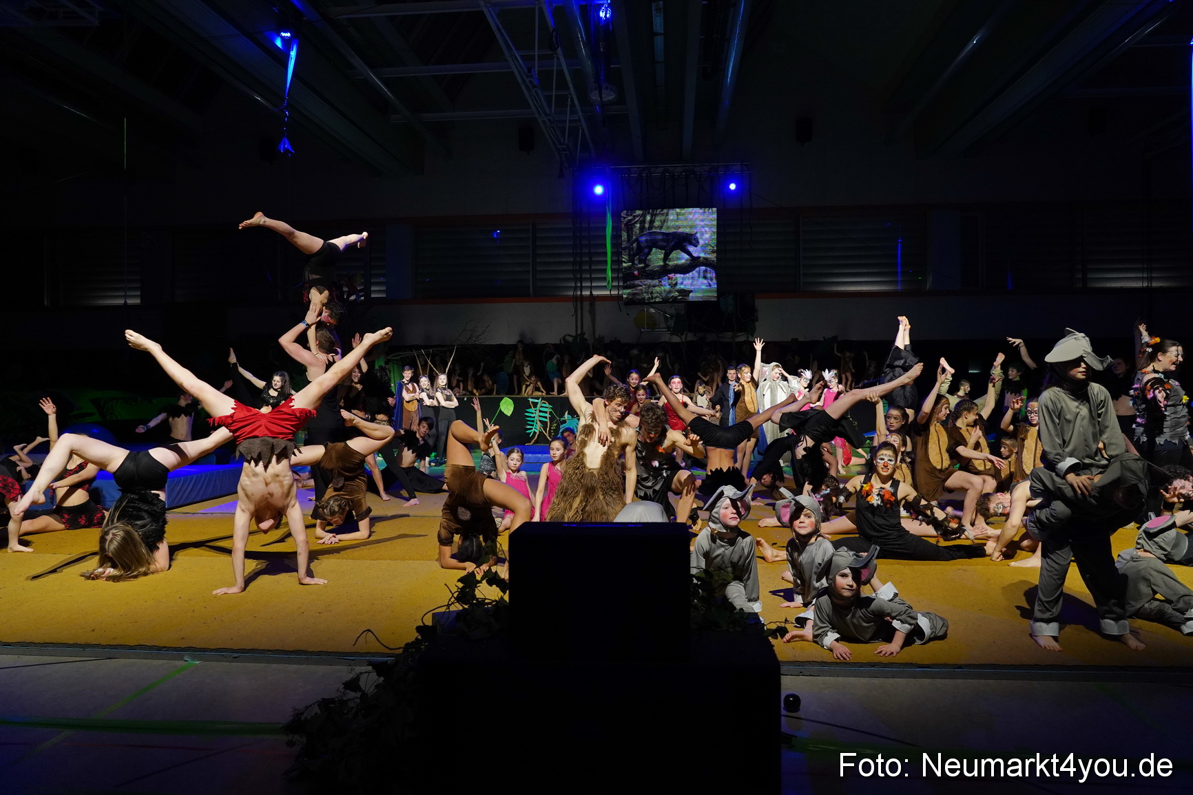 Artico Artistical Dschungelbuch 260220 0274