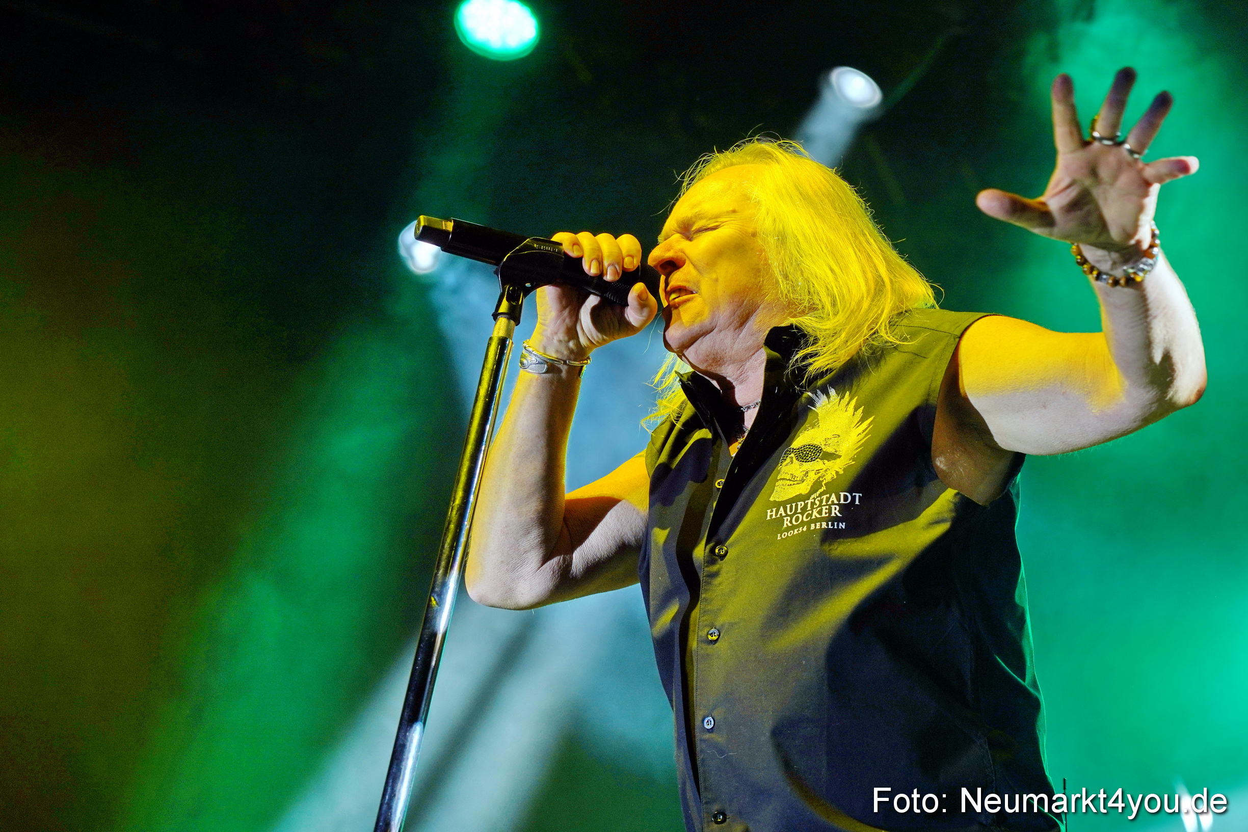 Uriah Heep Neumarkt 170120 0011