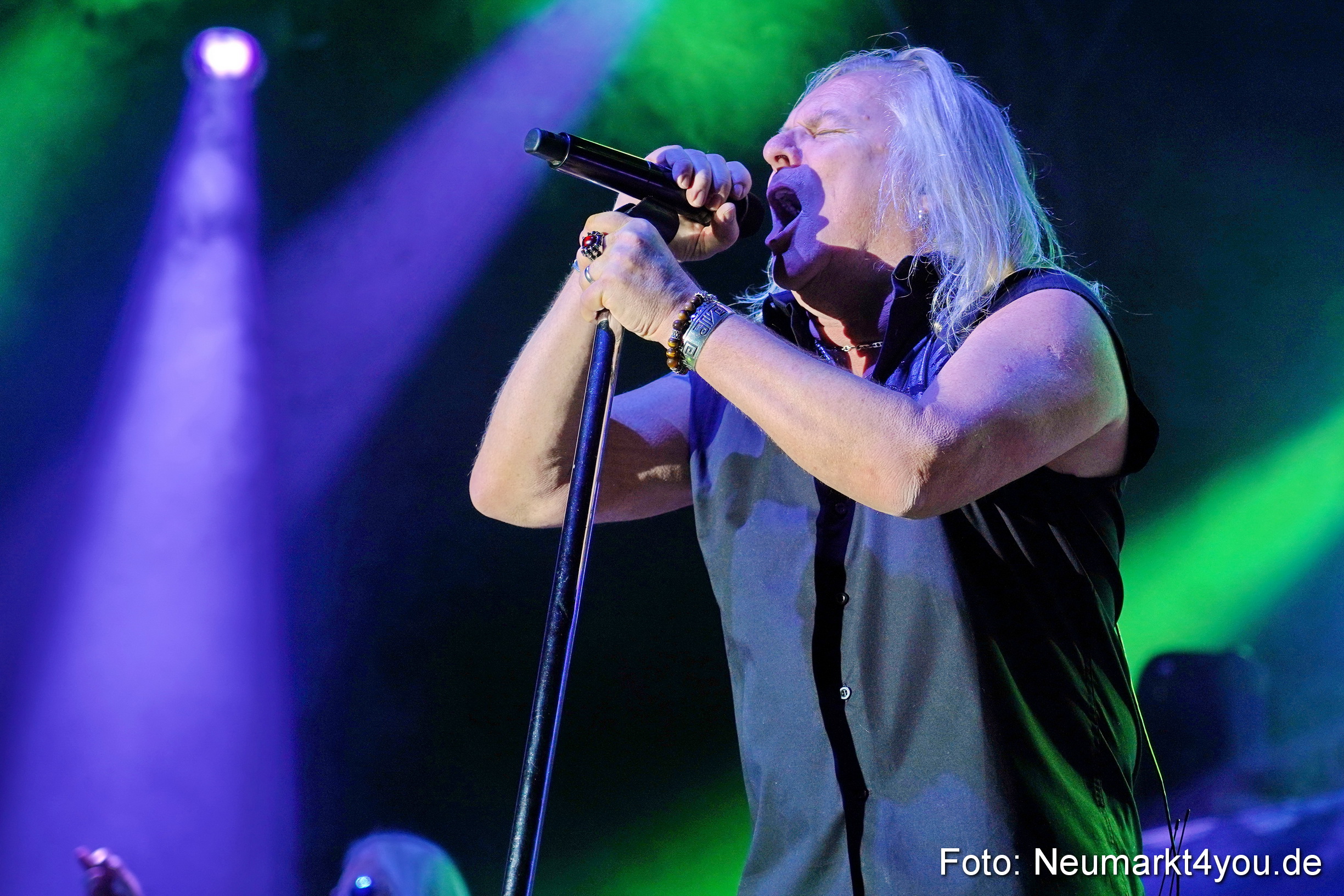 Uriah Heep Neumarkt 170120 0031