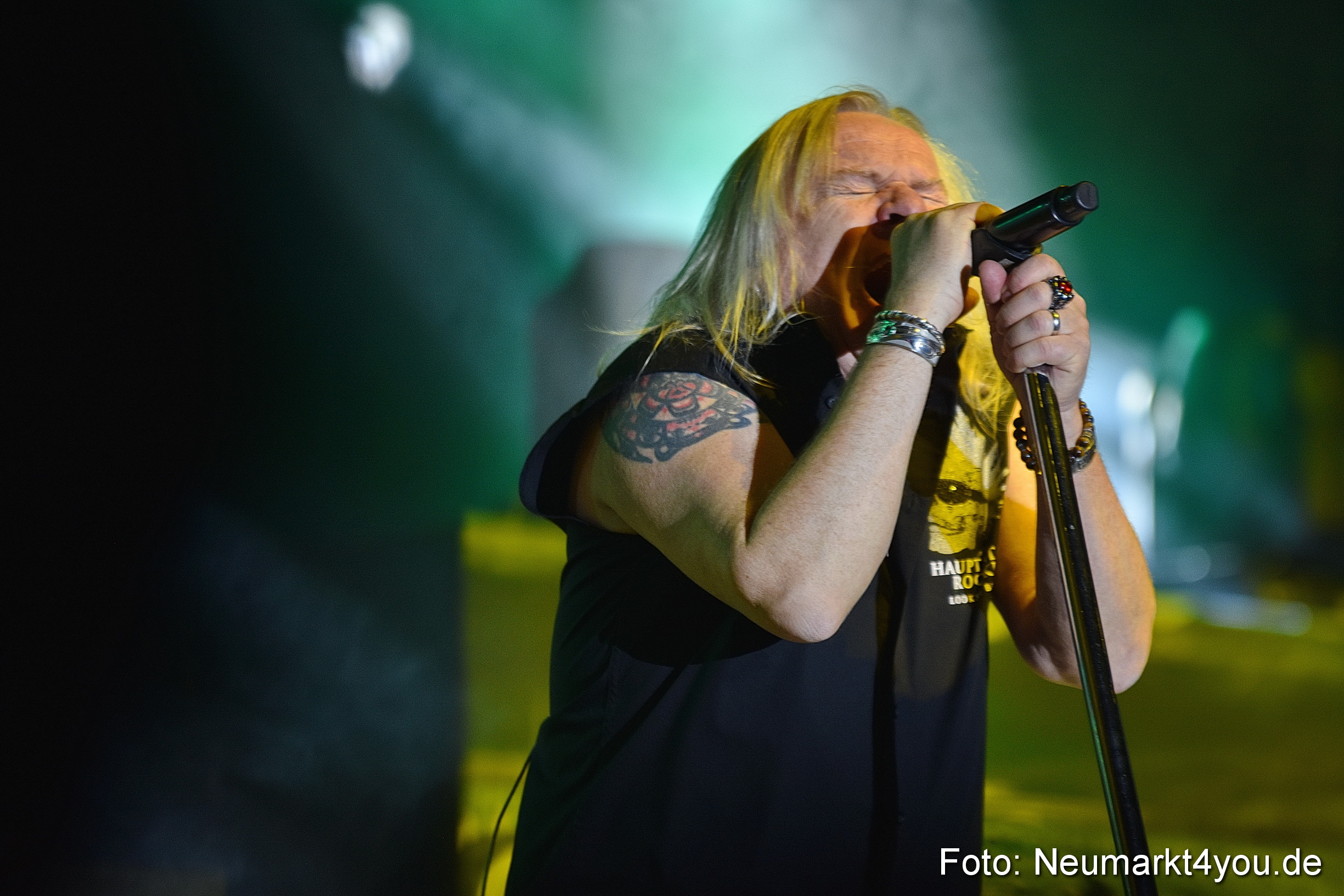 Uriah Heep Neumarkt 170120 0053
