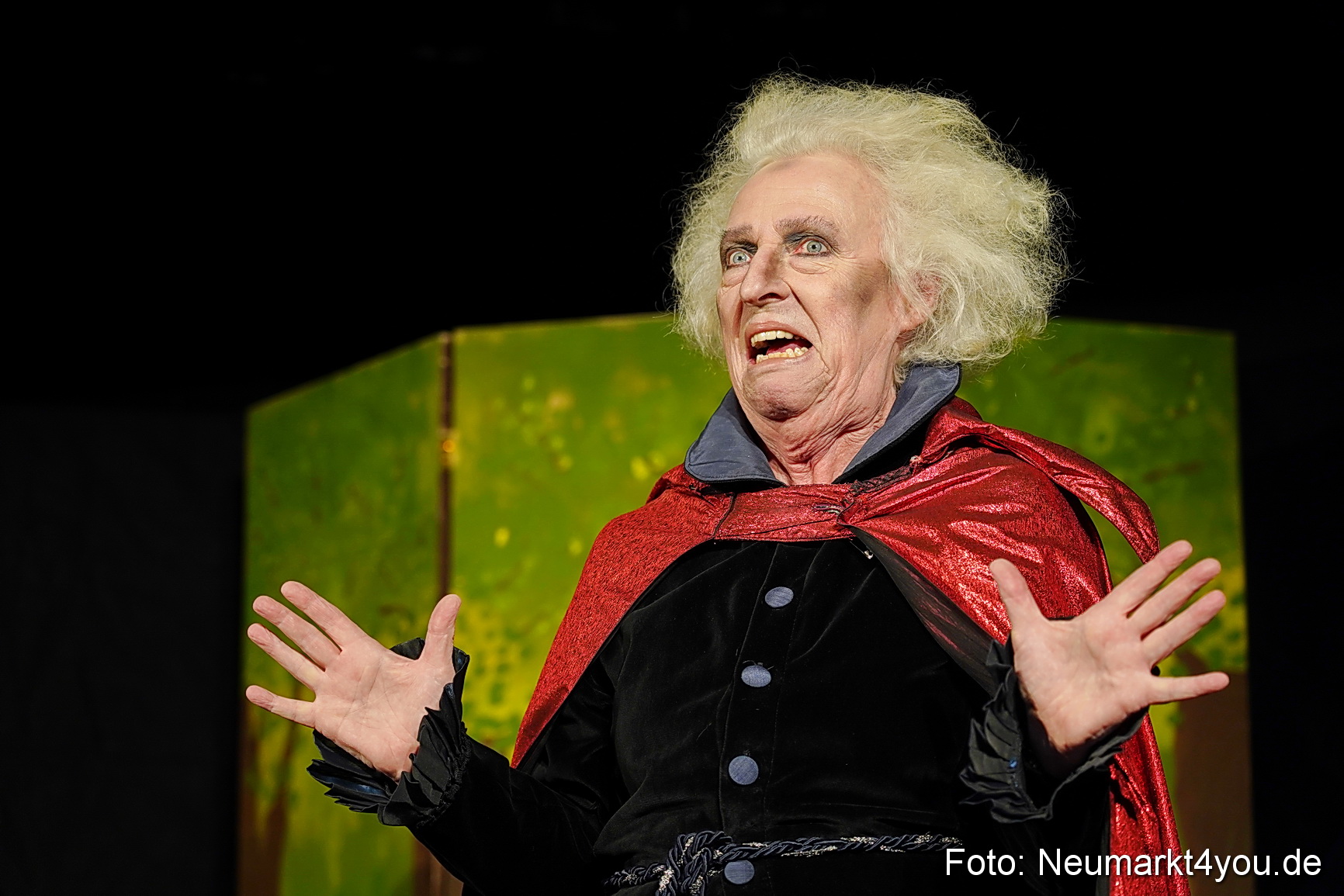 Der ungestiefelte Kater 261122 0008