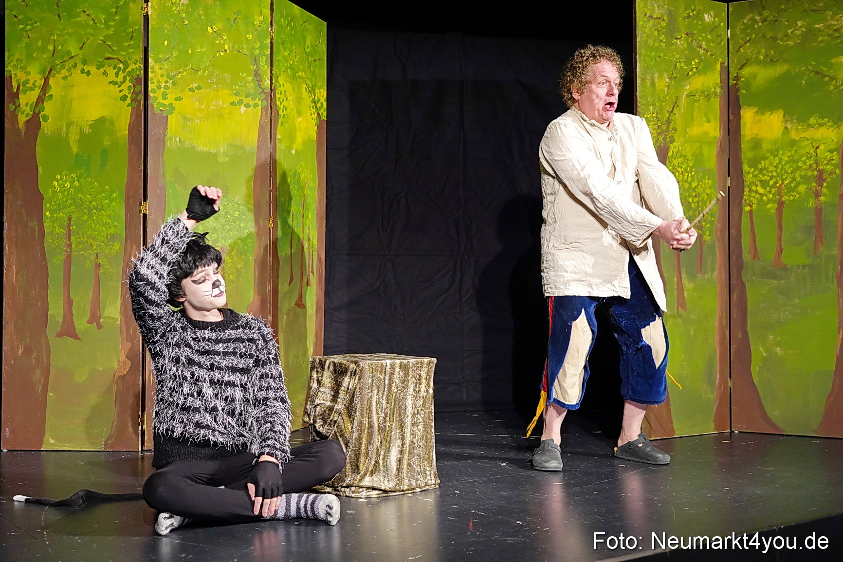 Der ungestiefelte Kater 261122 0012