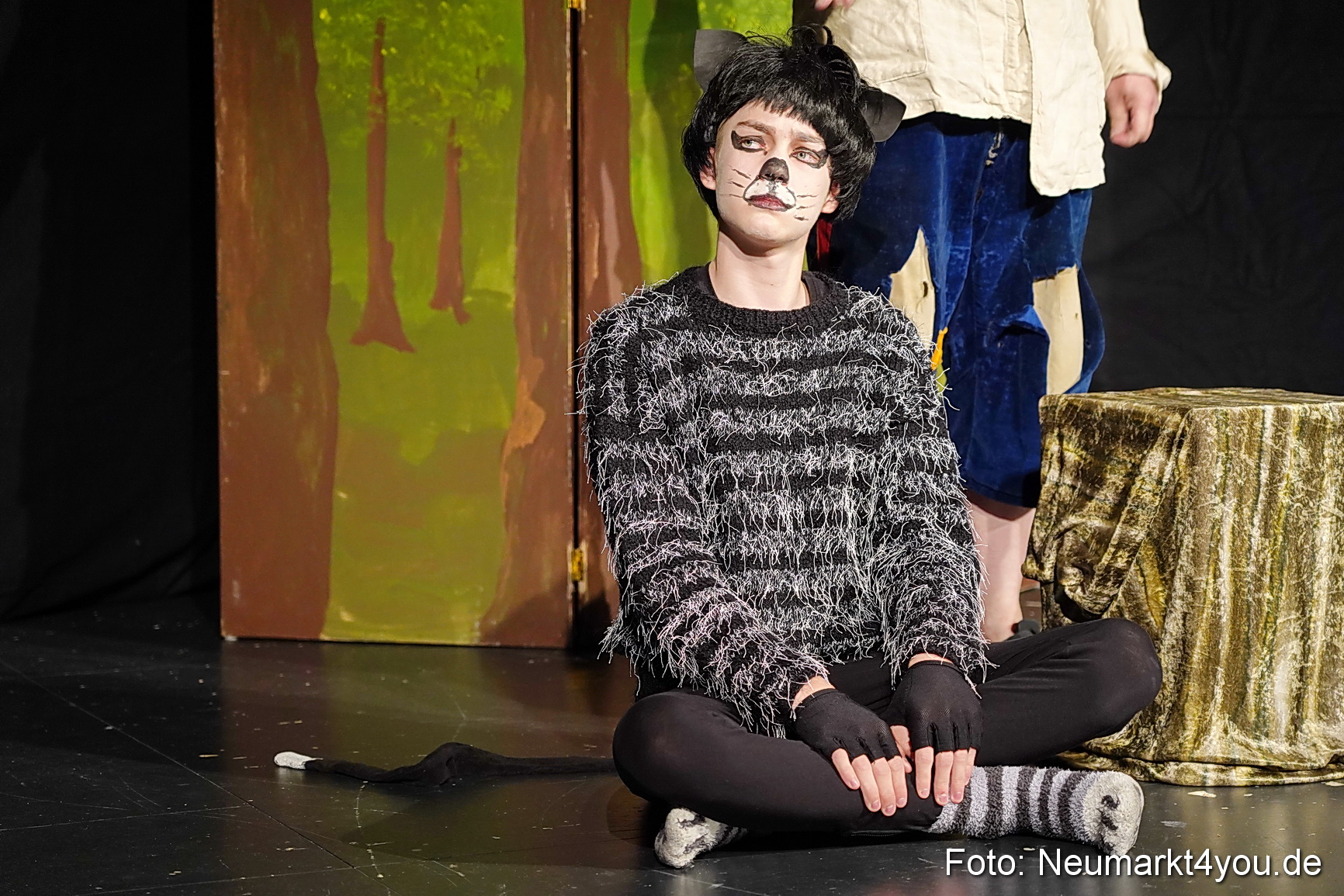 Der ungestiefelte Kater 261122 0014