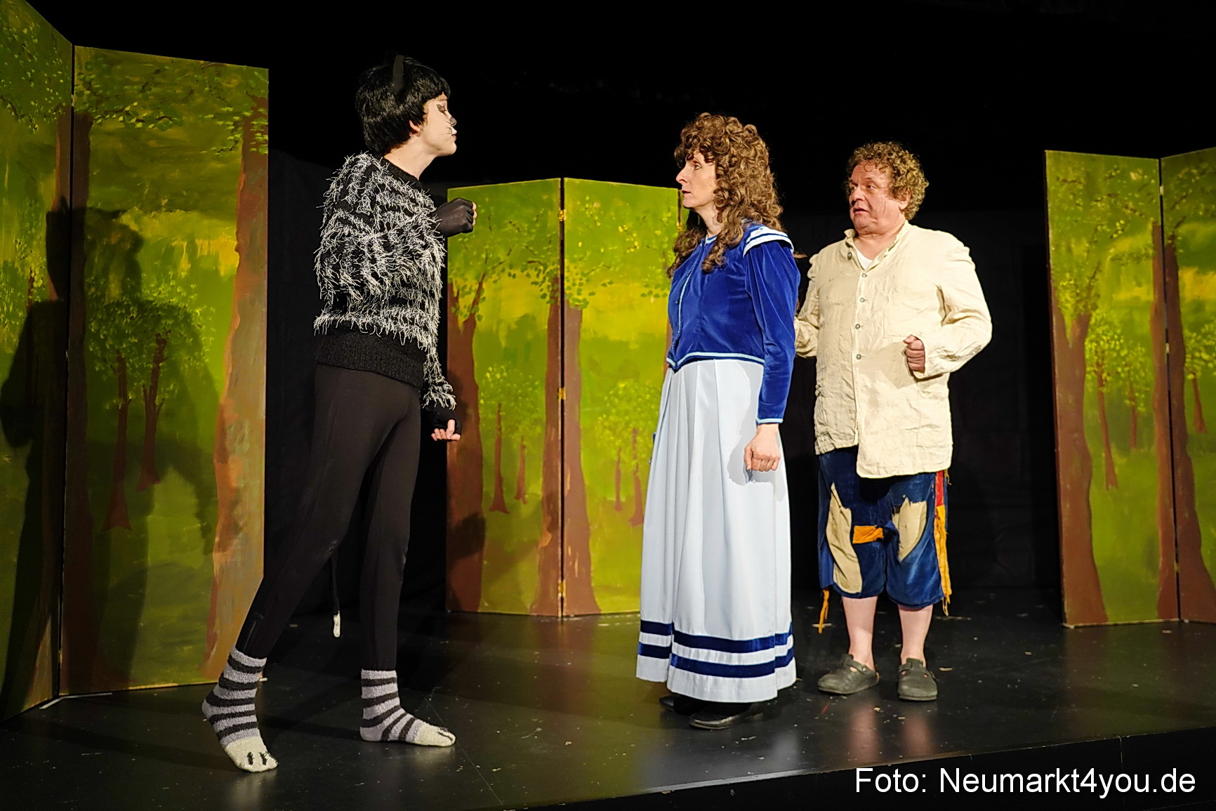 Der ungestiefelte Kater 261122 0031