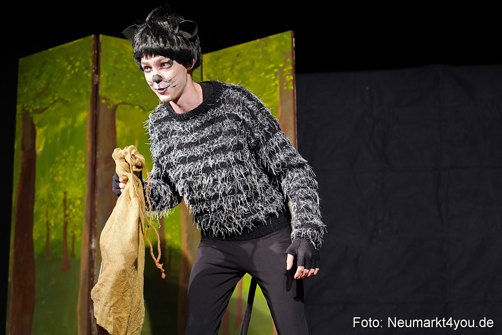 Der ungestiefelte Kater 261122 0033