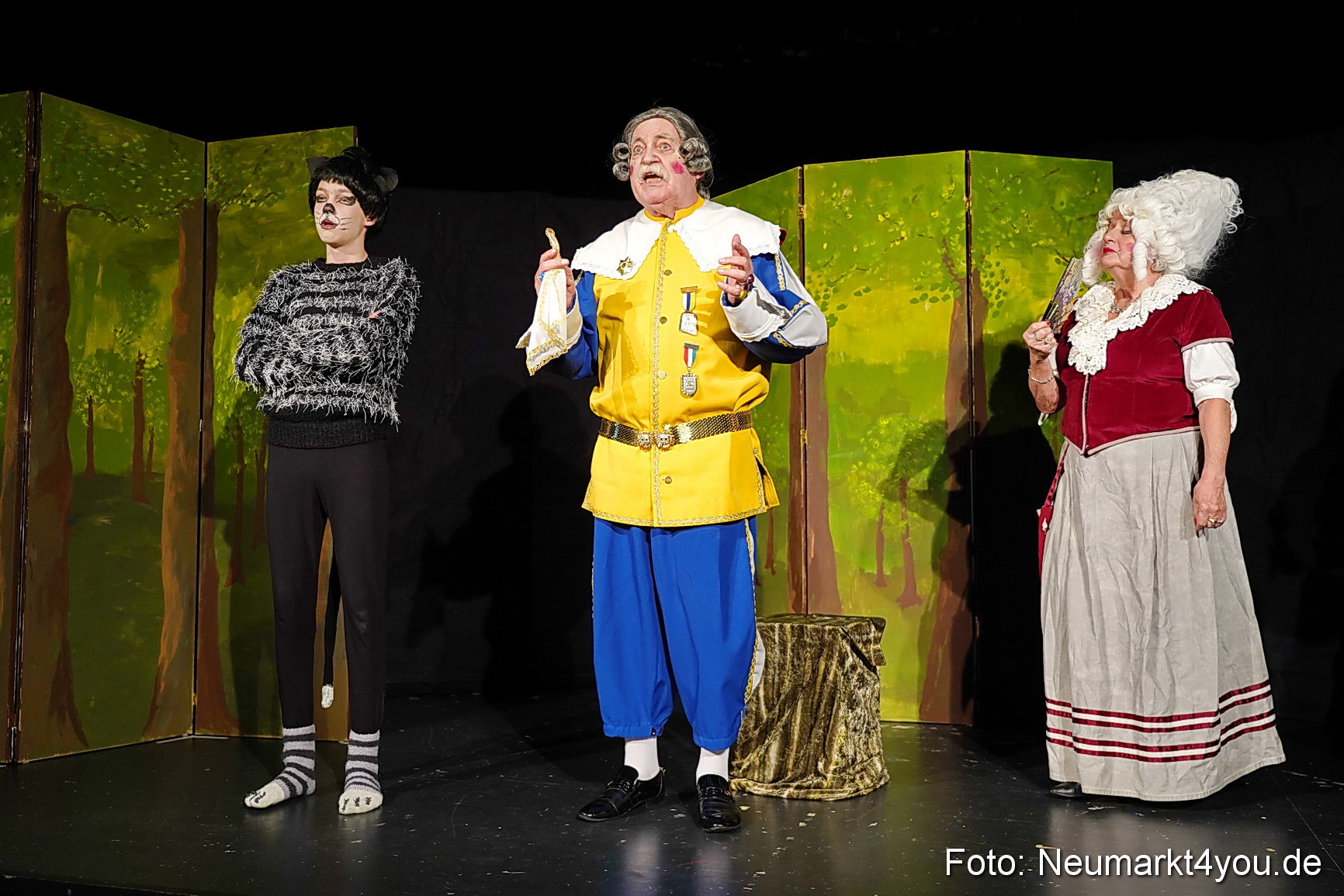 Der ungestiefelte Kater 261122 0035