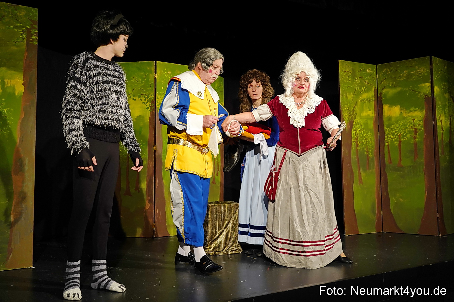 Der ungestiefelte Kater 261122 0036