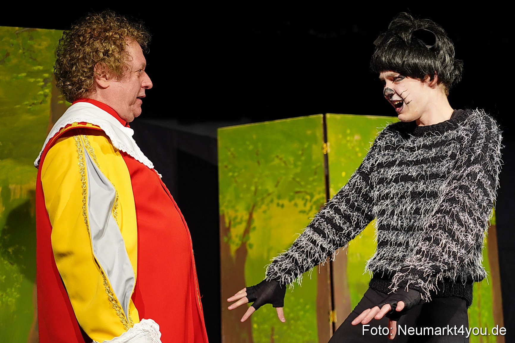 Der ungestiefelte Kater 261122 0044