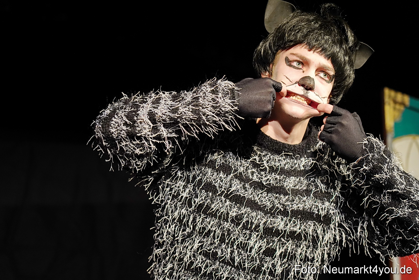 Der ungestiefelte Kater 261122 0048