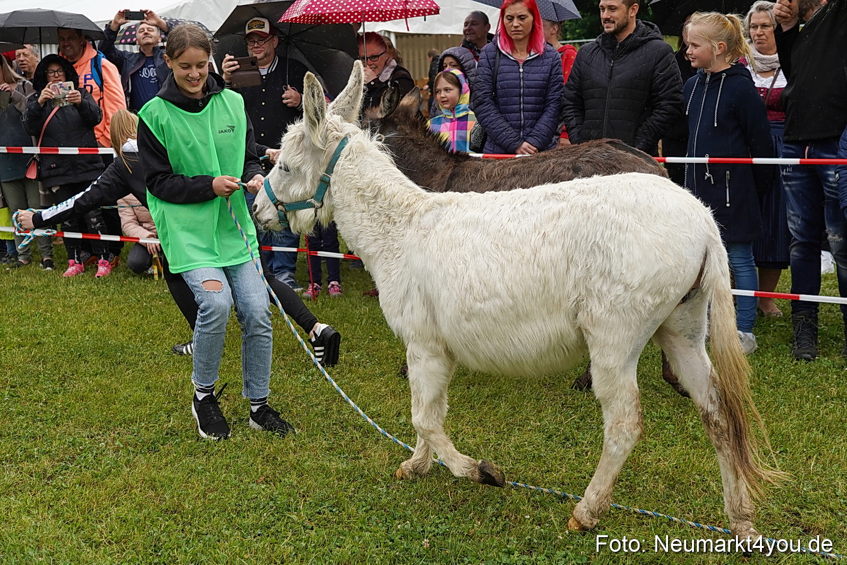 Eselrennen Fruehlingsfest 2022 0019