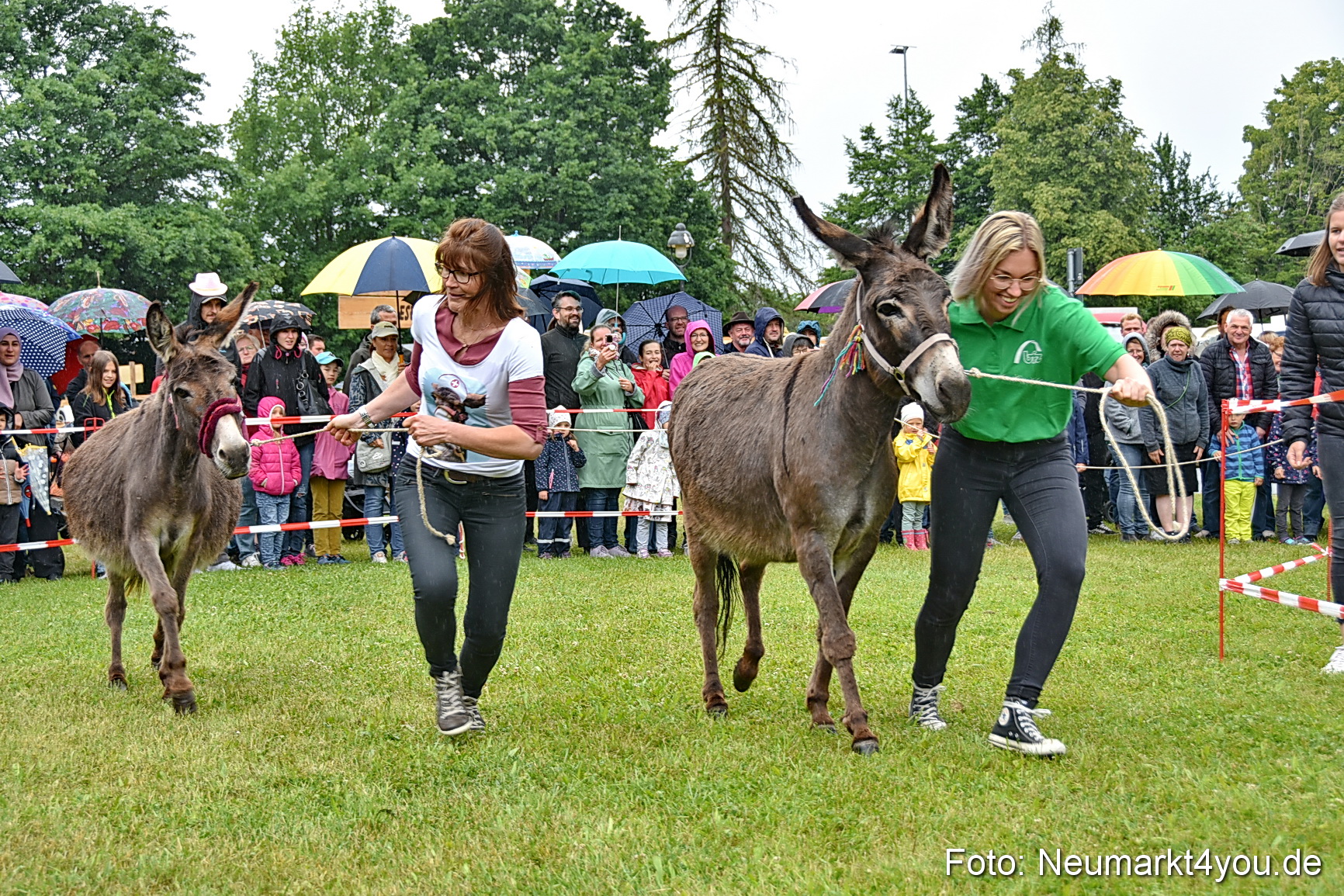 Eselrennen Fruehlingsfest 2022 0049