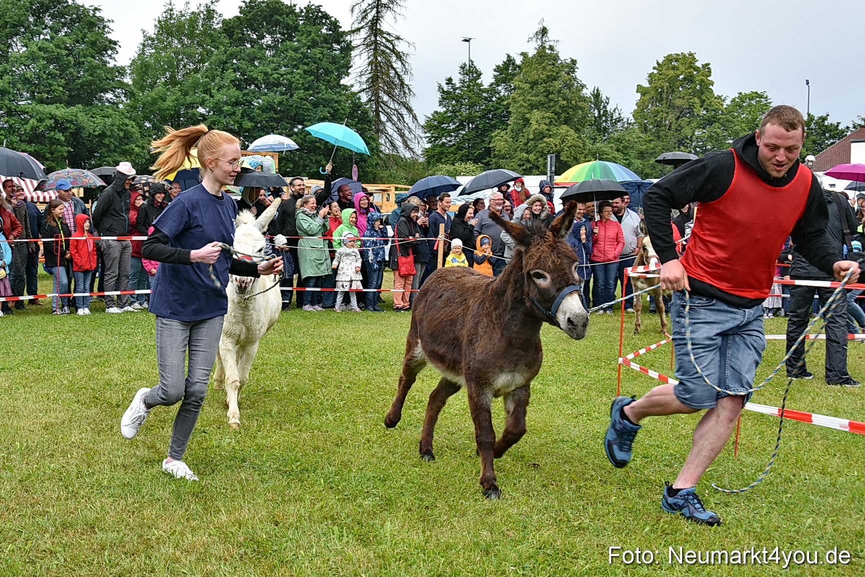 Eselrennen Fruehlingsfest 2022 0081