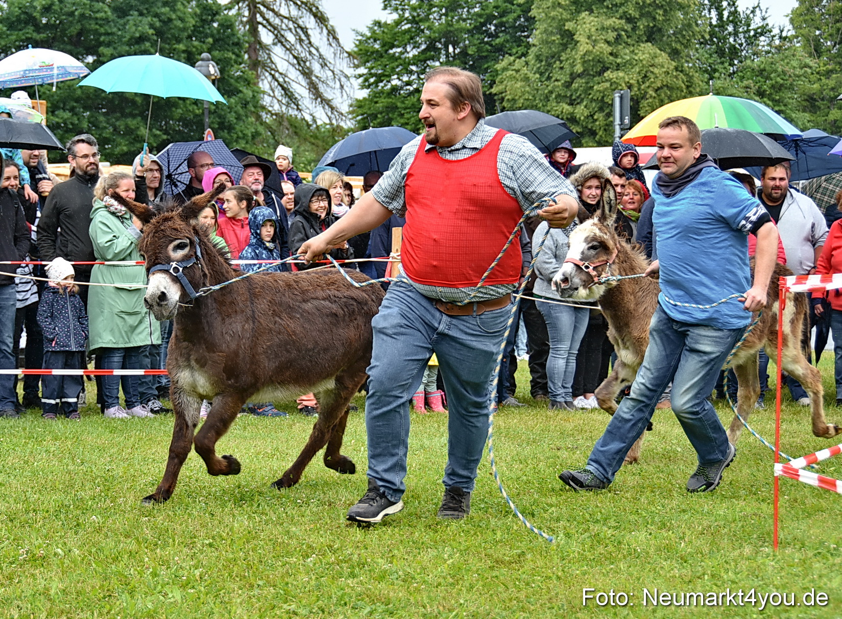 Eselrennen Fruehlingsfest 2022 0096
