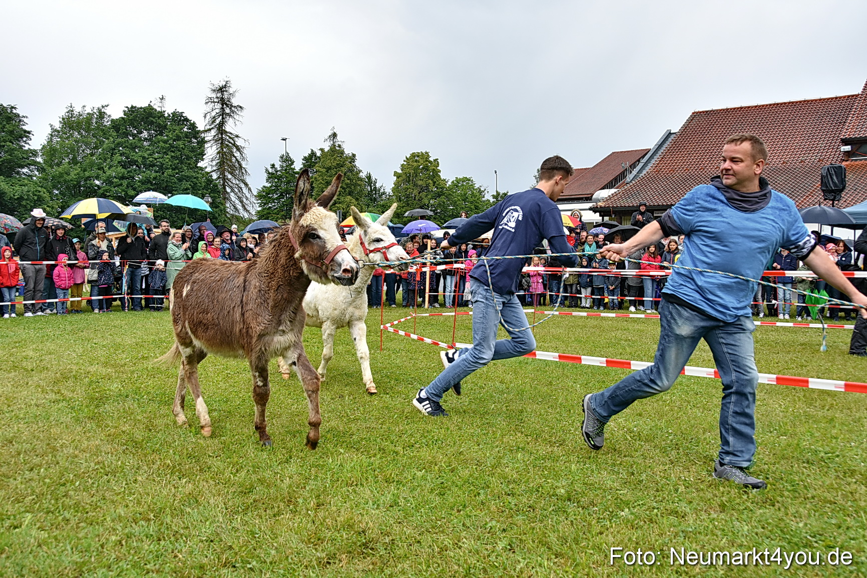 Eselrennen Fruehlingsfest 2022 0097