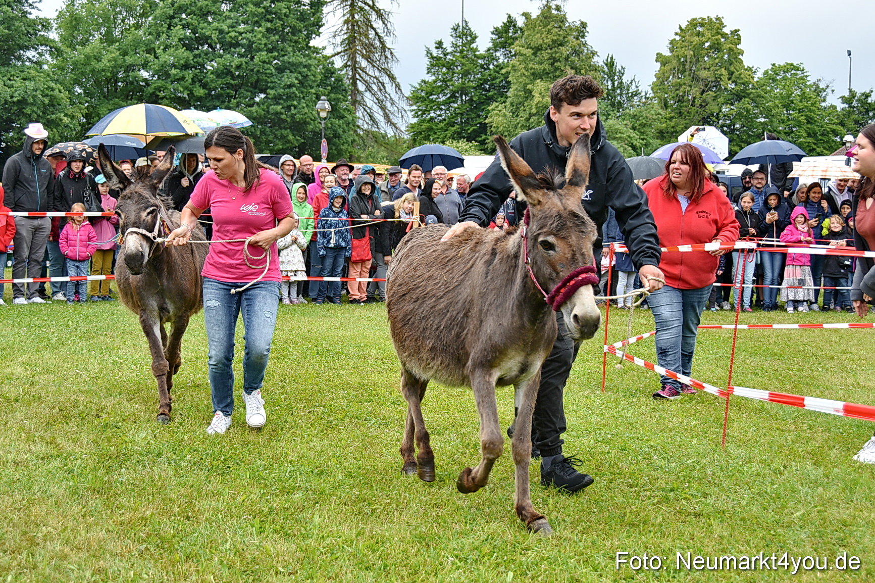 Eselrennen Fruehlingsfest 2022 0111