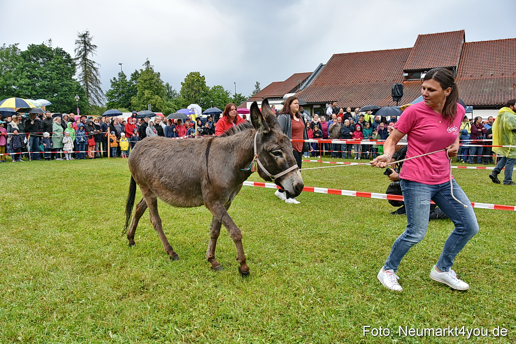 Eselrennen Fruehlingsfest 2022 0113