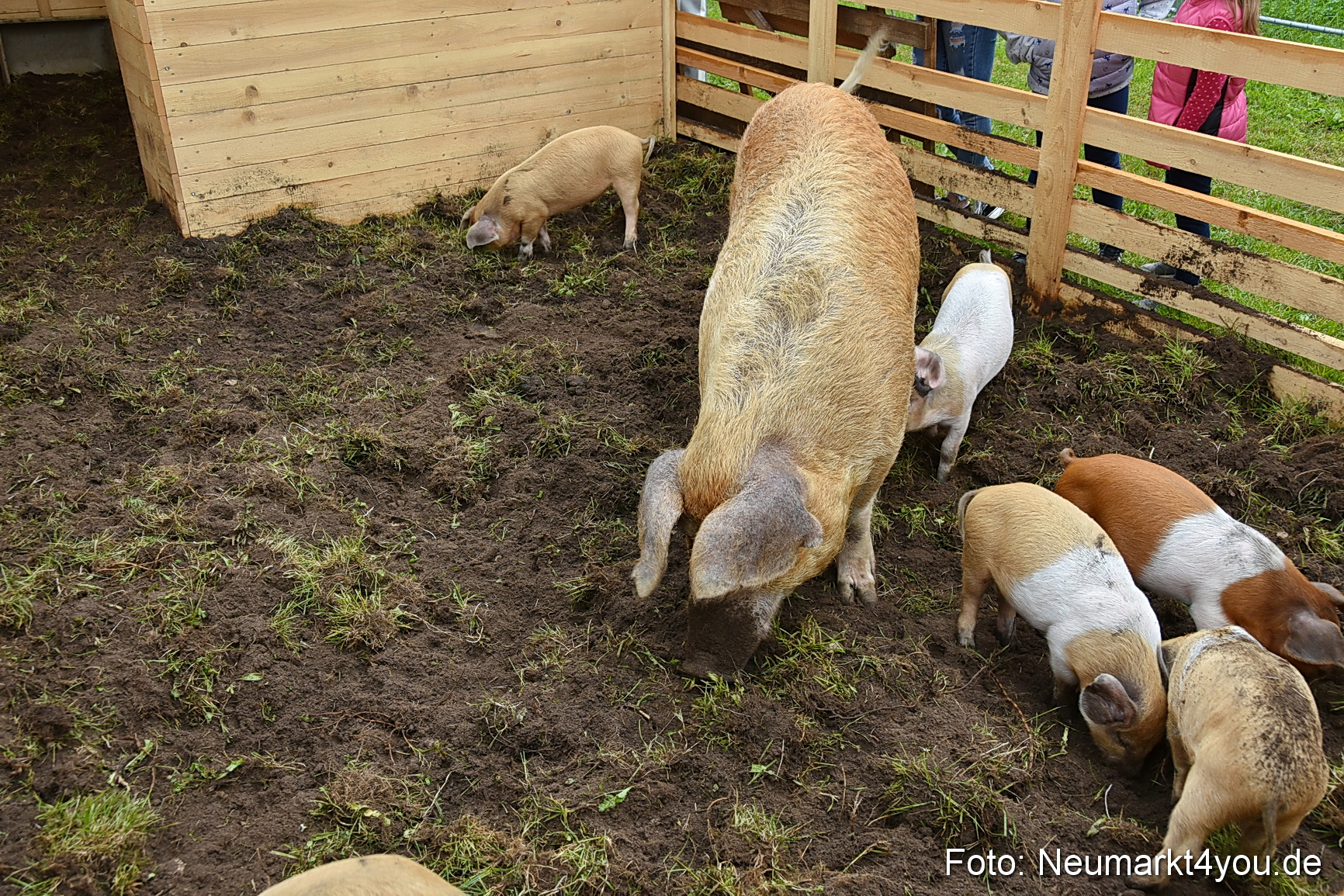 Eselrennen Fruehlingsfest 2022 0185
