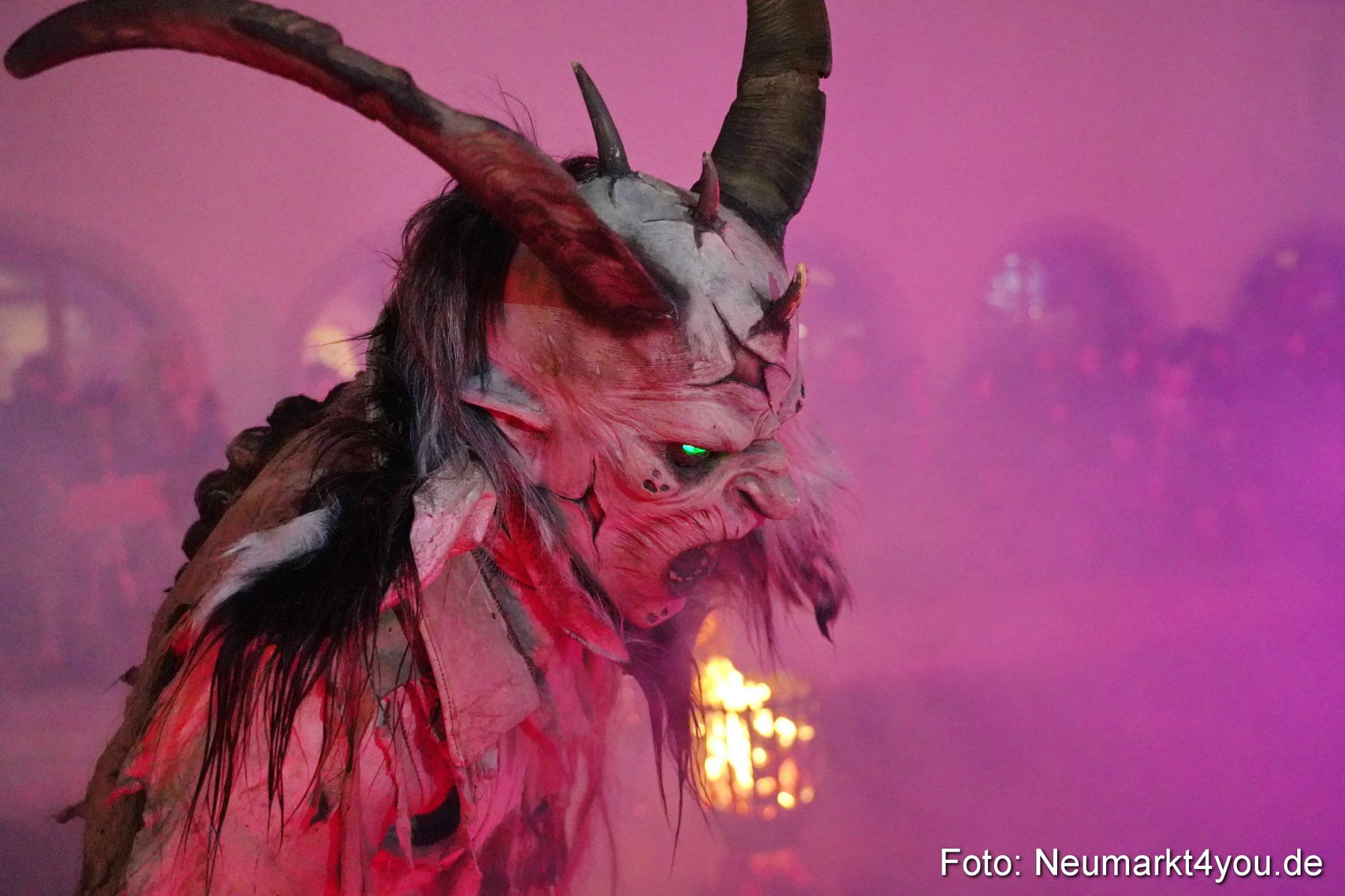 Oberpfaelzer Schlossteufeln 171222 0088