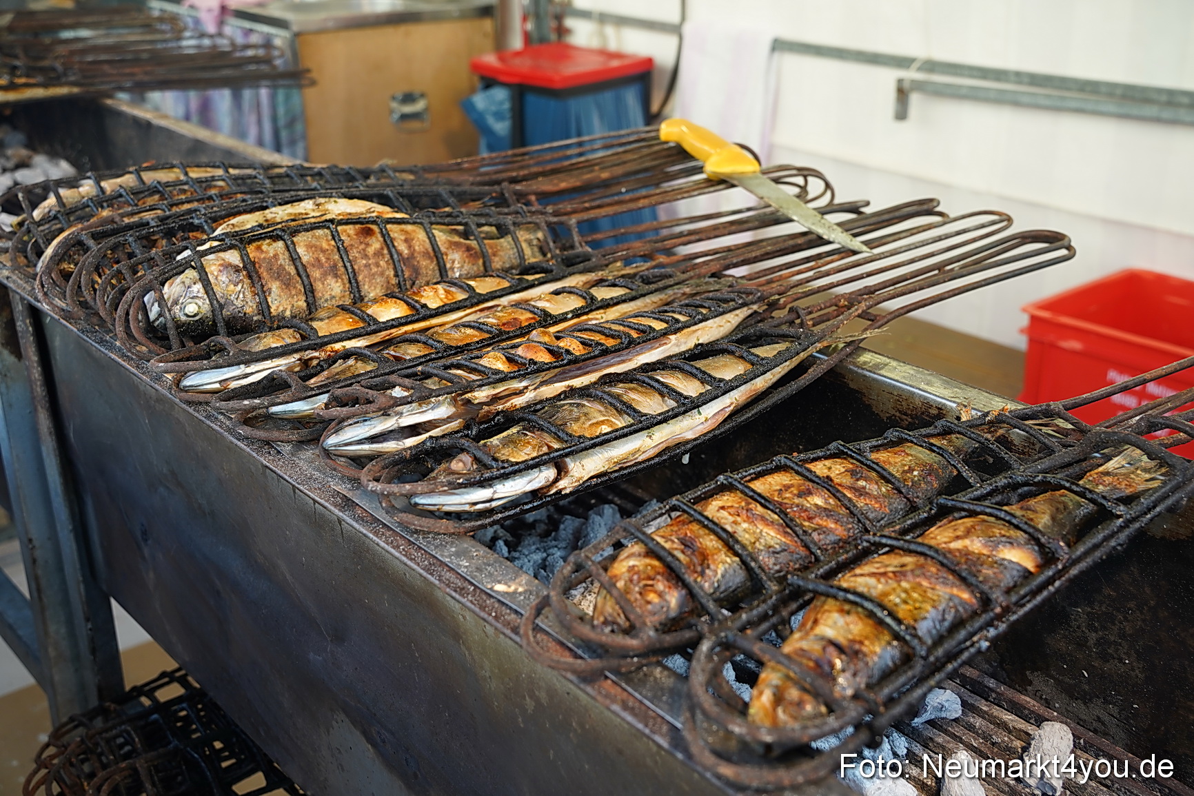 Altstadtfest Neumarkt 2023 0036