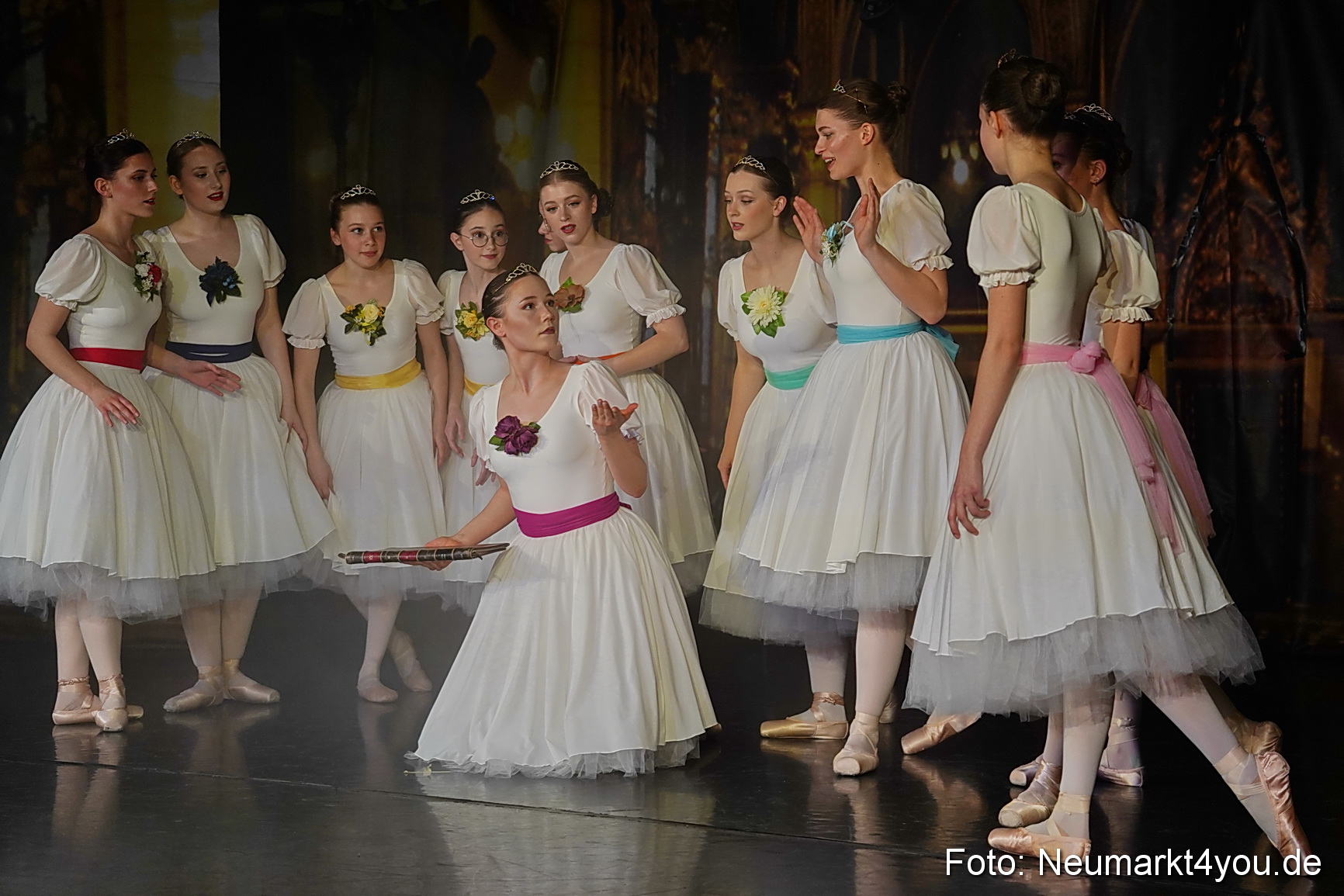Die 12 tanzenden Prinzessinnen 0001