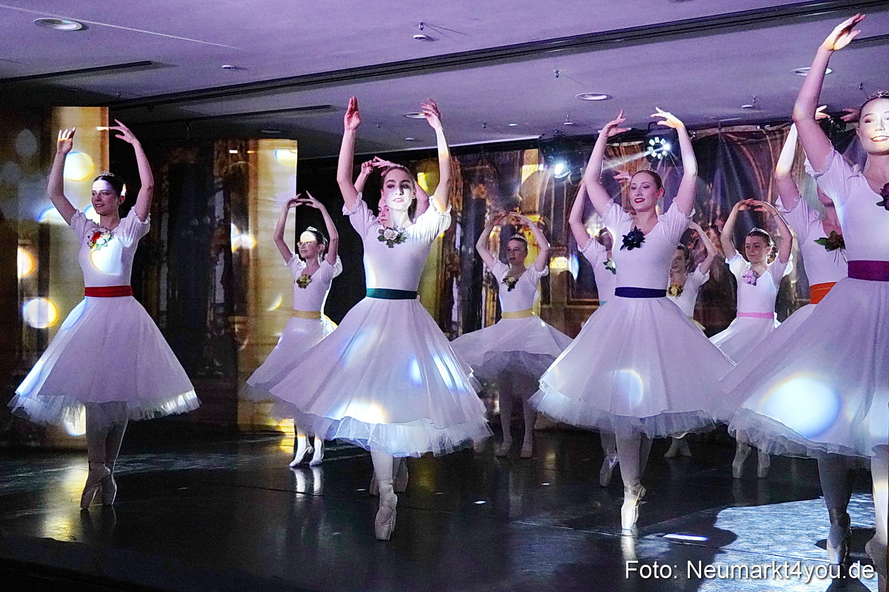 Die 12 tanzenden Prinzessinnen 0007