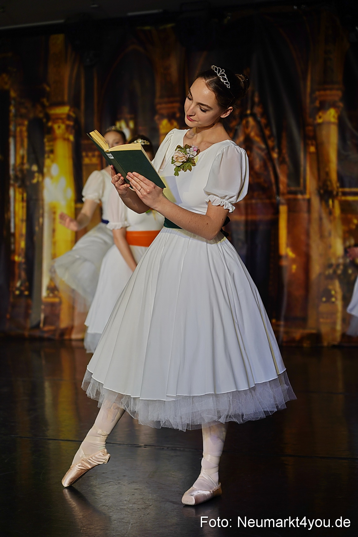 Die 12 tanzenden Prinzessinnen 0015