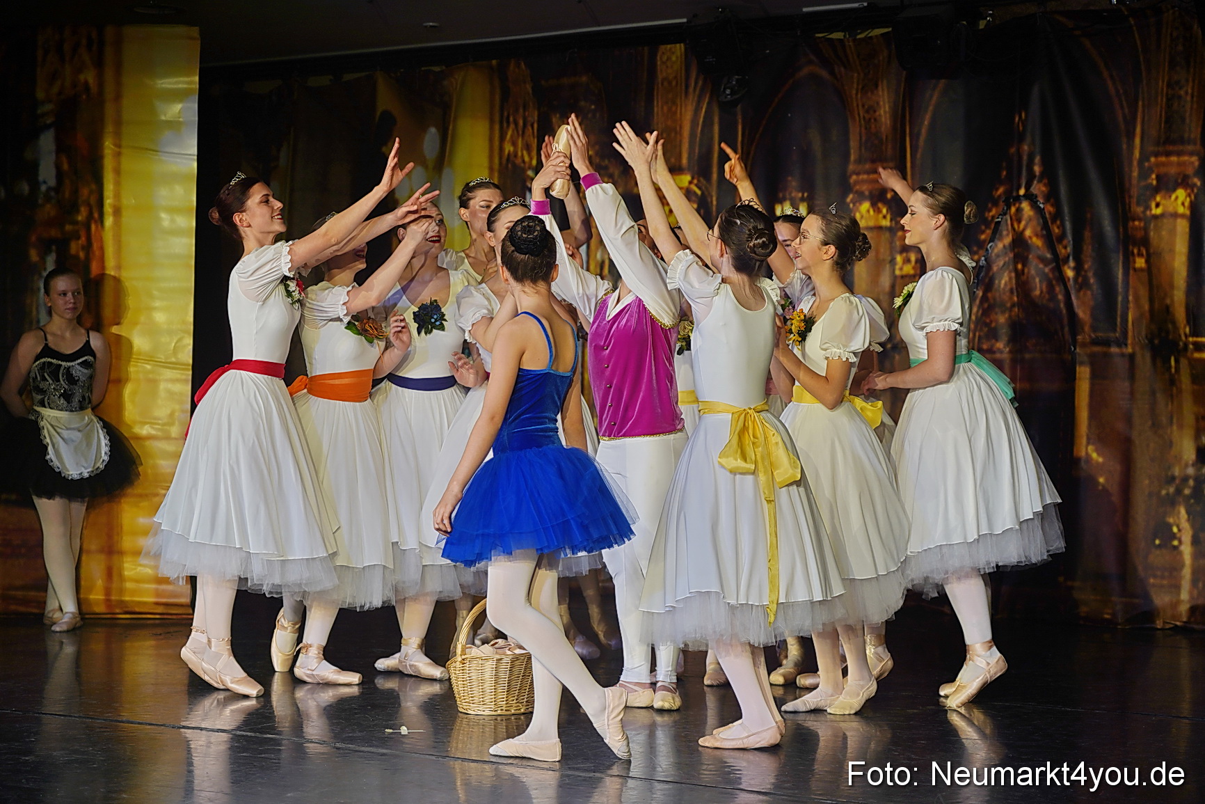 Die 12 tanzenden Prinzessinnen 0031