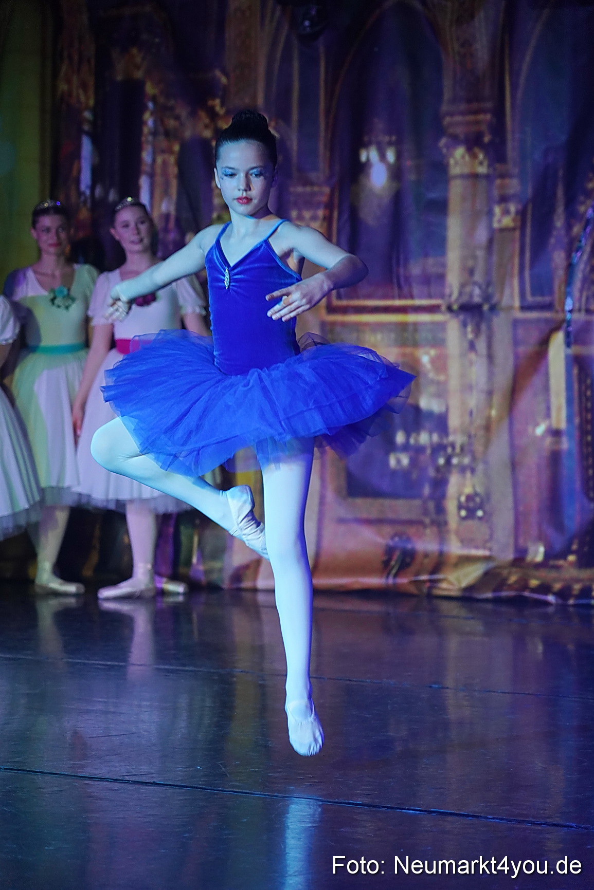 Die 12 tanzenden Prinzessinnen 0040