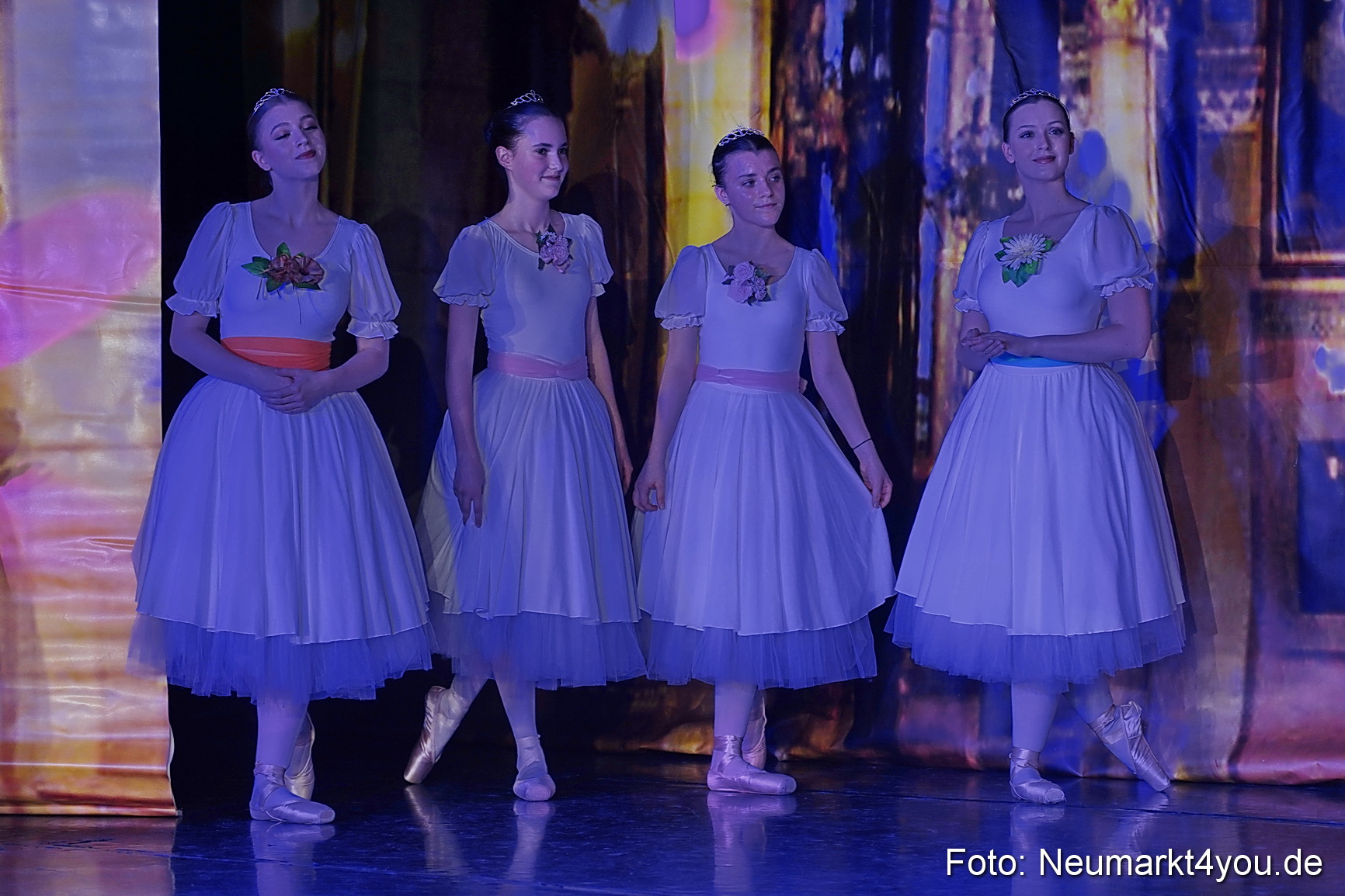 Die 12 tanzenden Prinzessinnen 0045