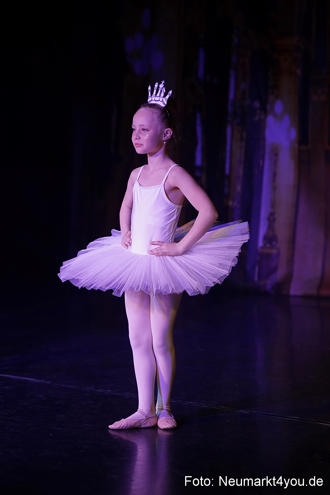 Die 12 tanzenden Prinzessinnen 0069