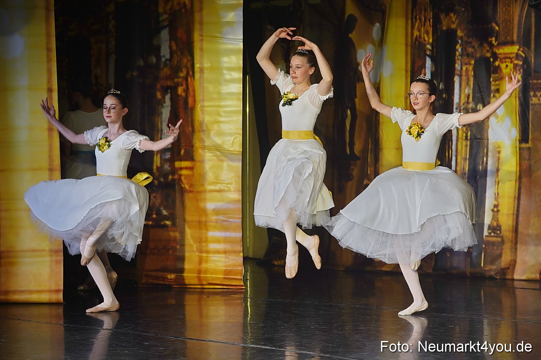 Die 12 tanzenden Prinzessinnen 0092