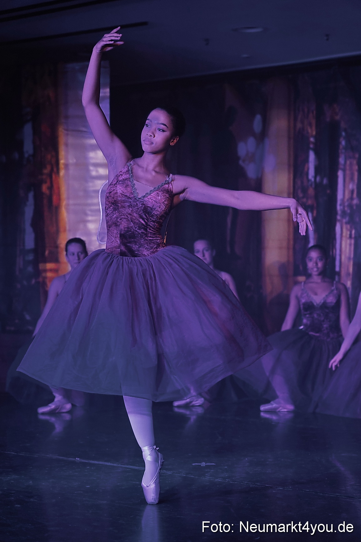 Die 12 tanzenden Prinzessinnen 0098