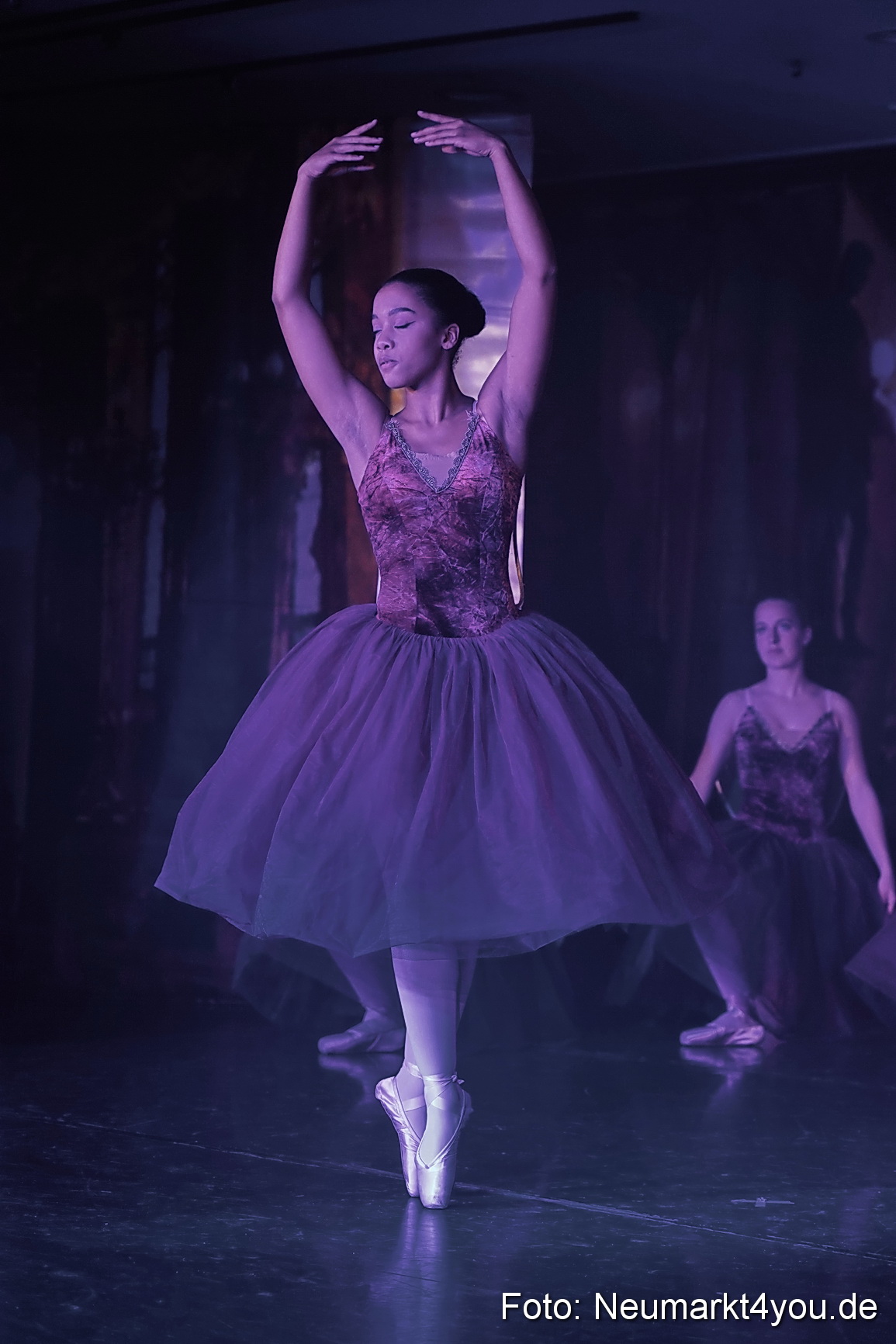 Die 12 tanzenden Prinzessinnen 0099