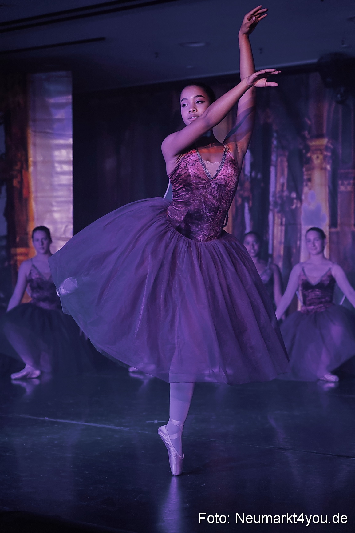 Die 12 tanzenden Prinzessinnen 0100