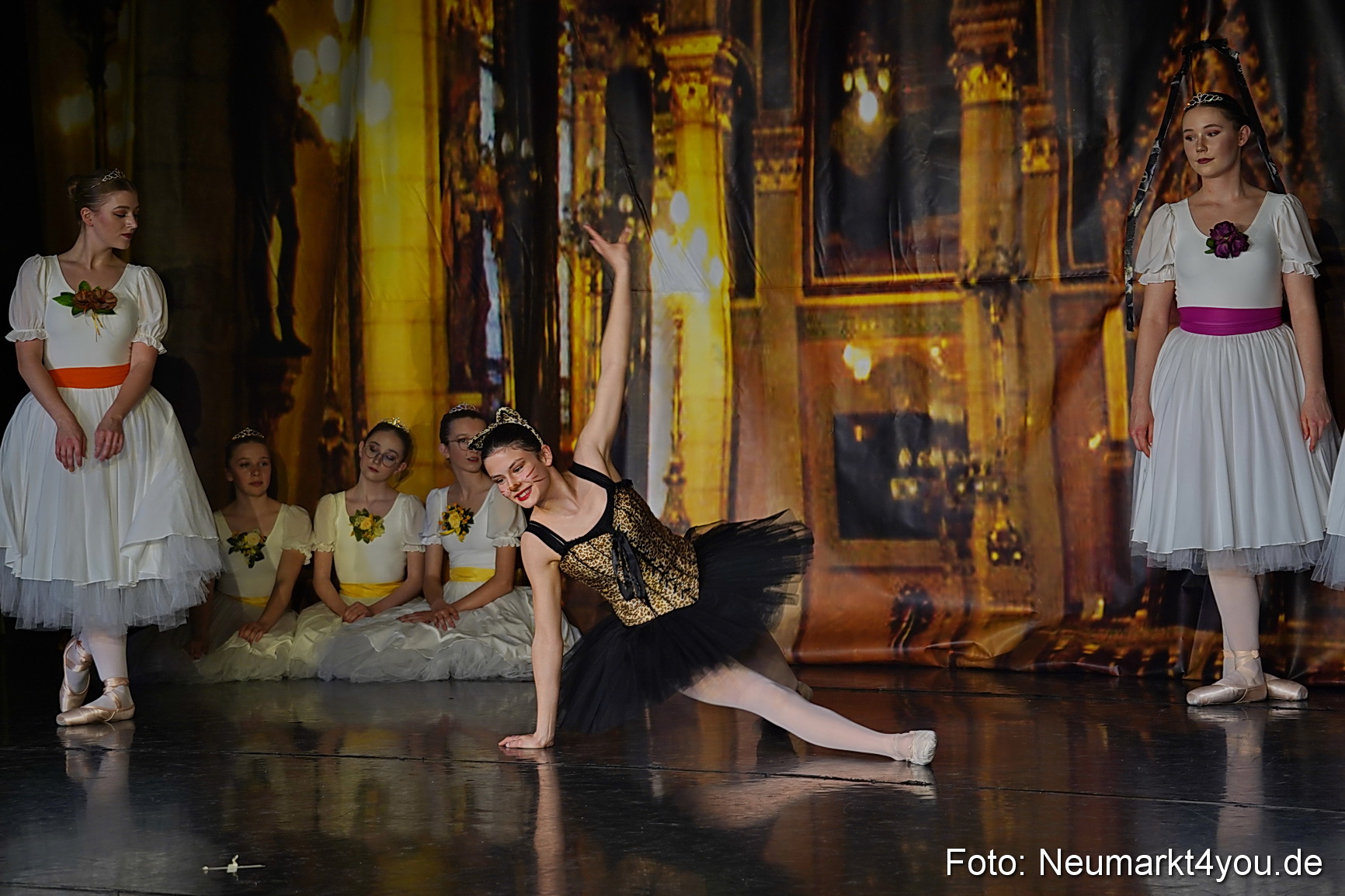 Die 12 tanzenden Prinzessinnen 0102