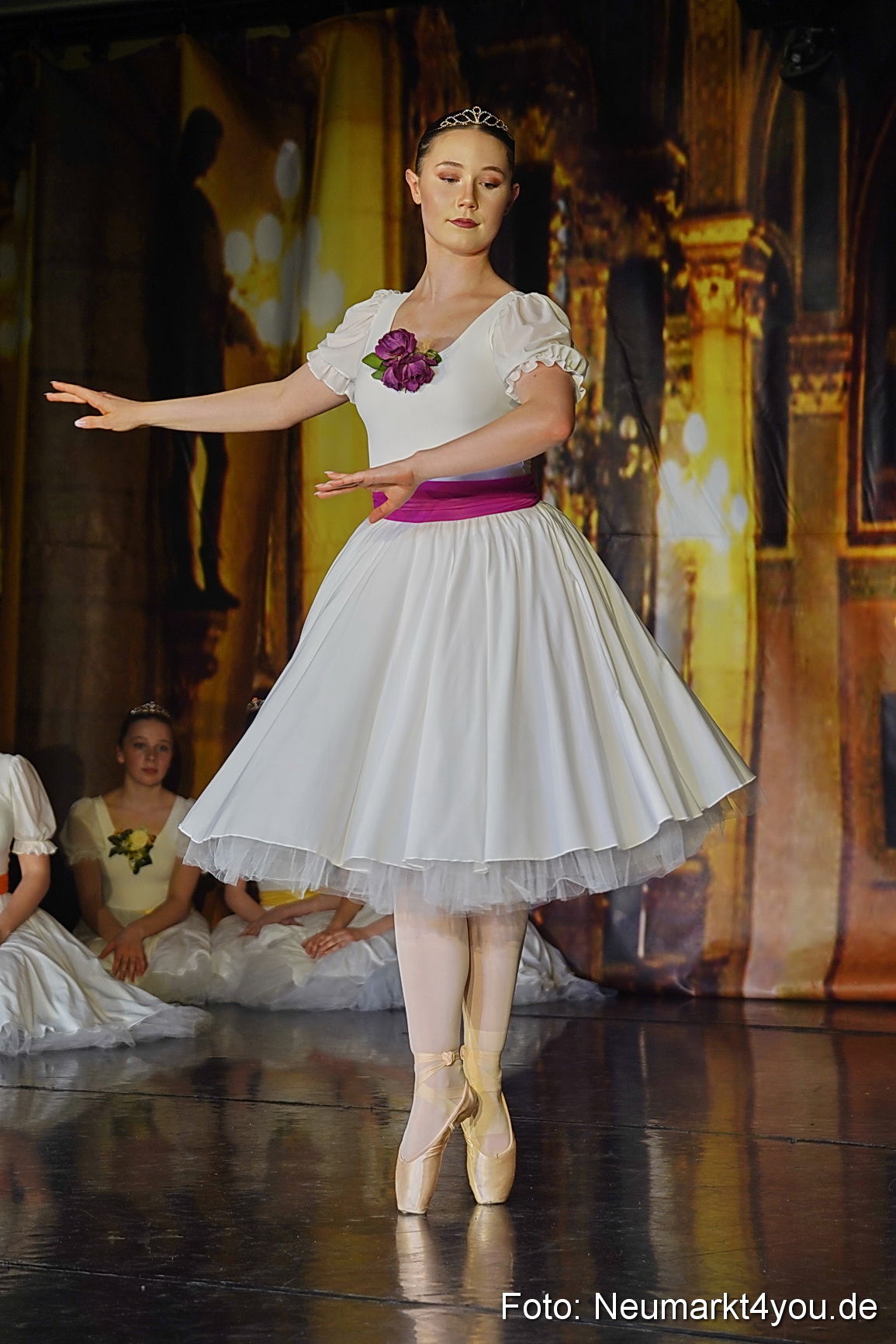 Die 12 tanzenden Prinzessinnen 0106