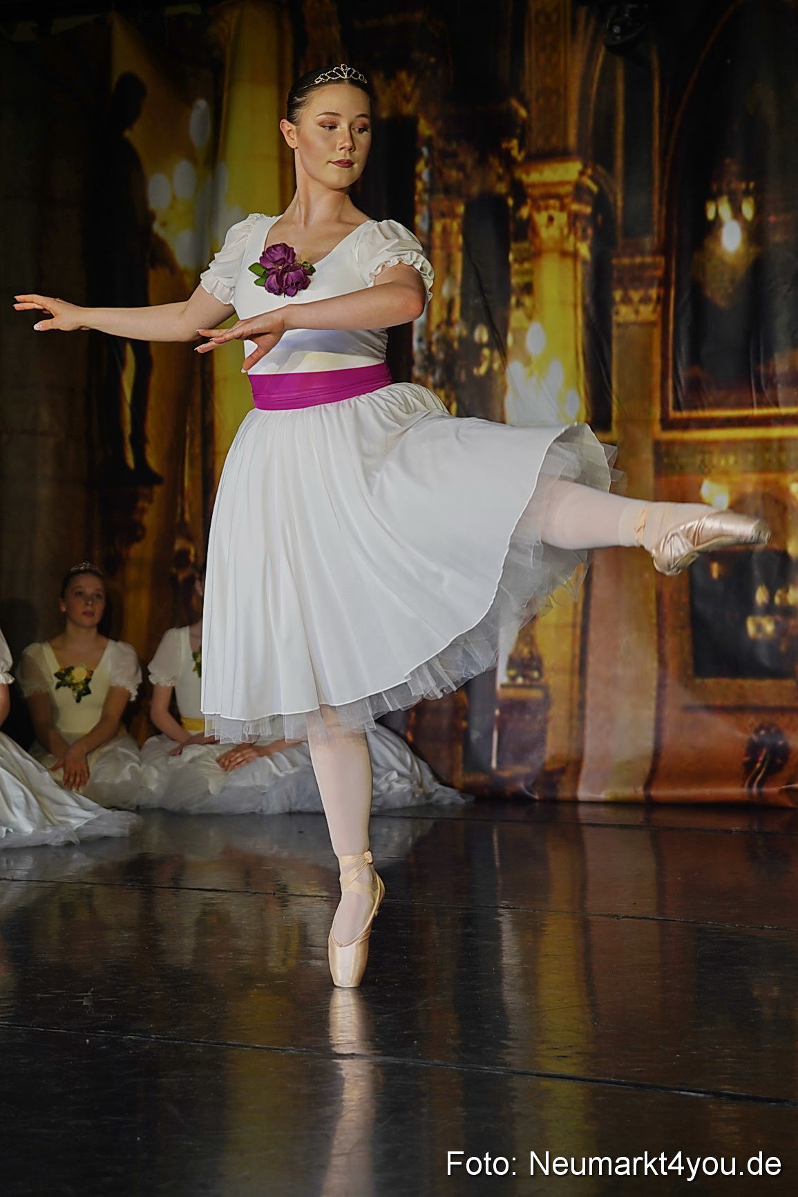 Die 12 tanzenden Prinzessinnen 0107