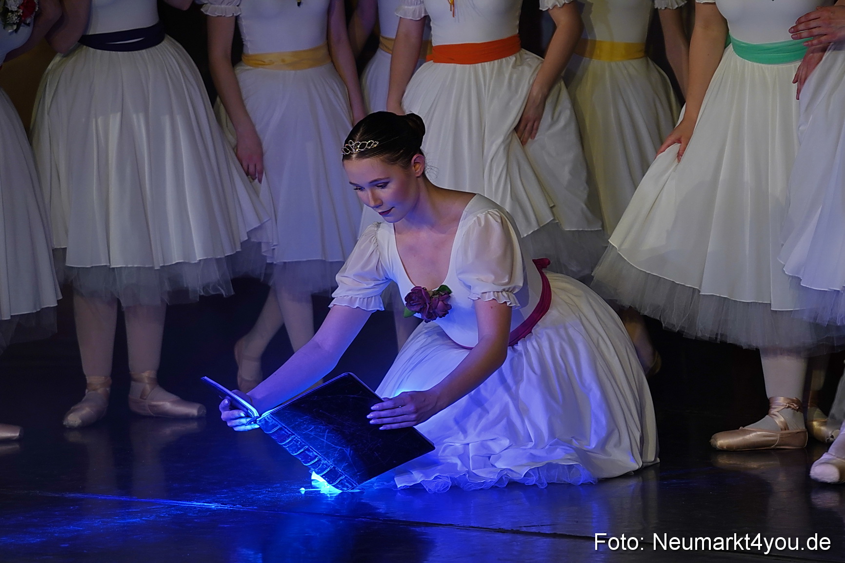 Die 12 tanzenden Prinzessinnen 0108