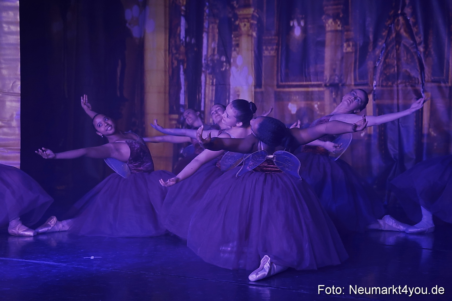 Die 12 tanzenden Prinzessinnen 0111