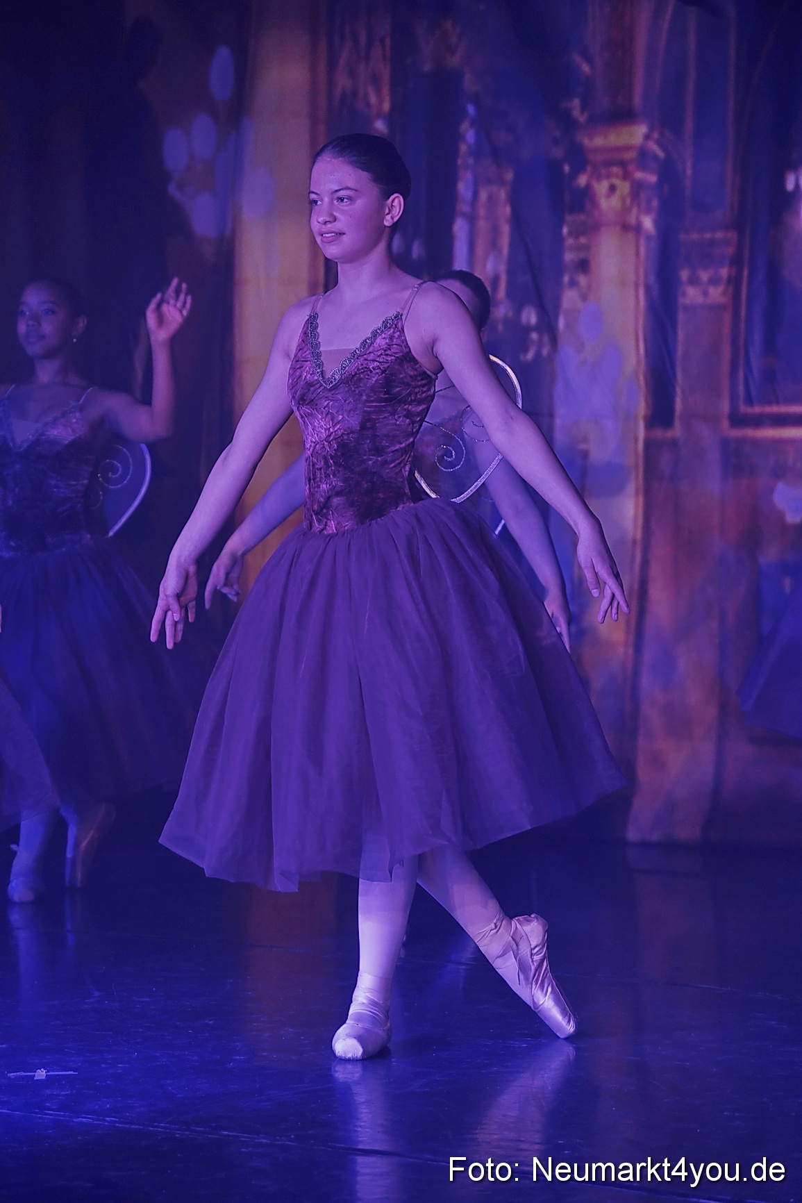 Die 12 tanzenden Prinzessinnen 0113