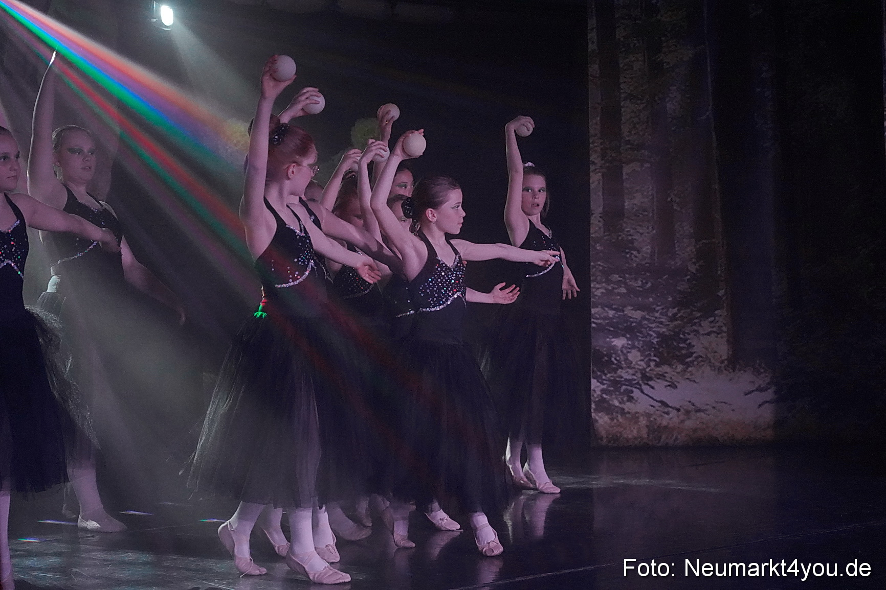 Die 12 tanzenden Prinzessinnen 0120