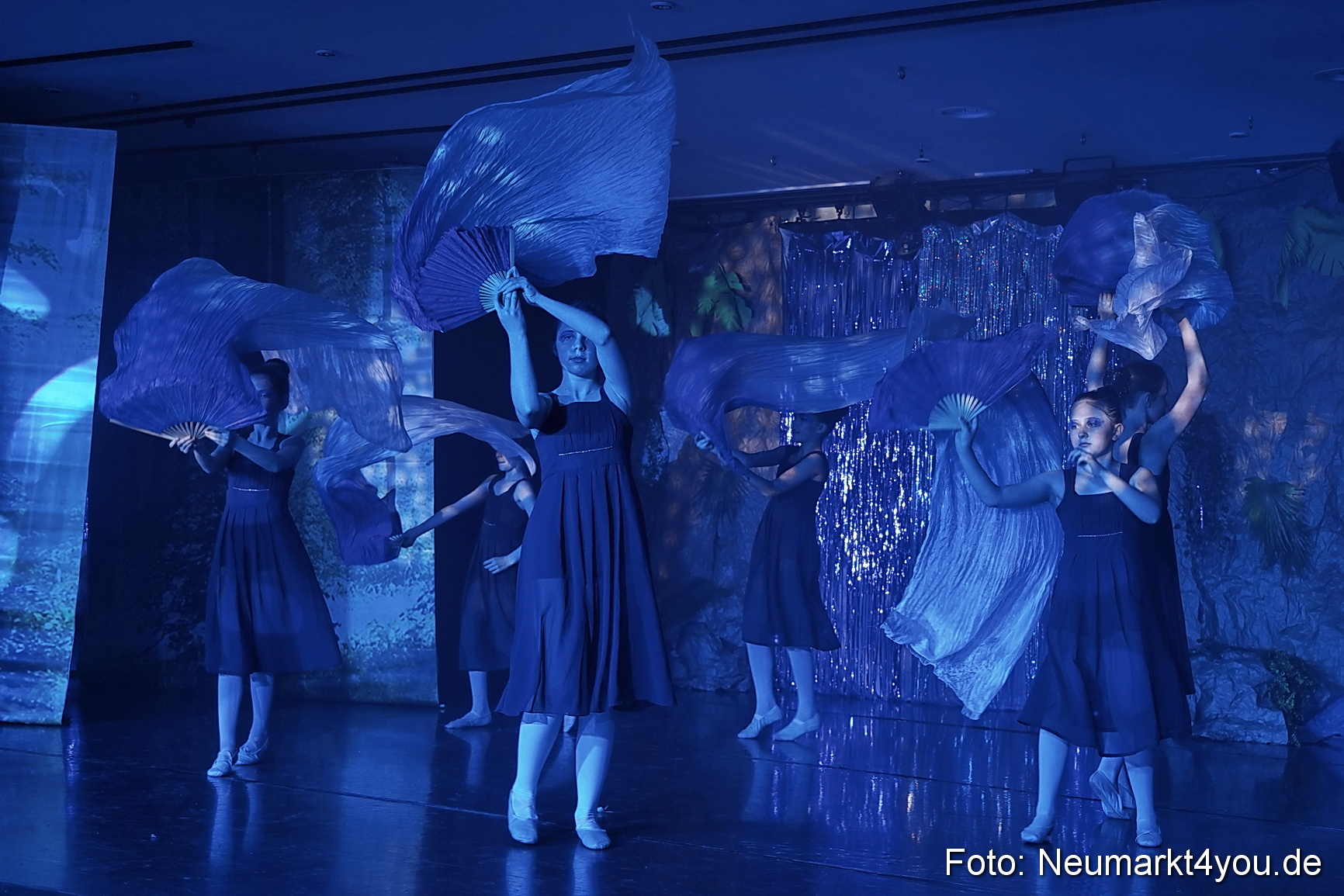 Die 12 tanzenden Prinzessinnen 0122