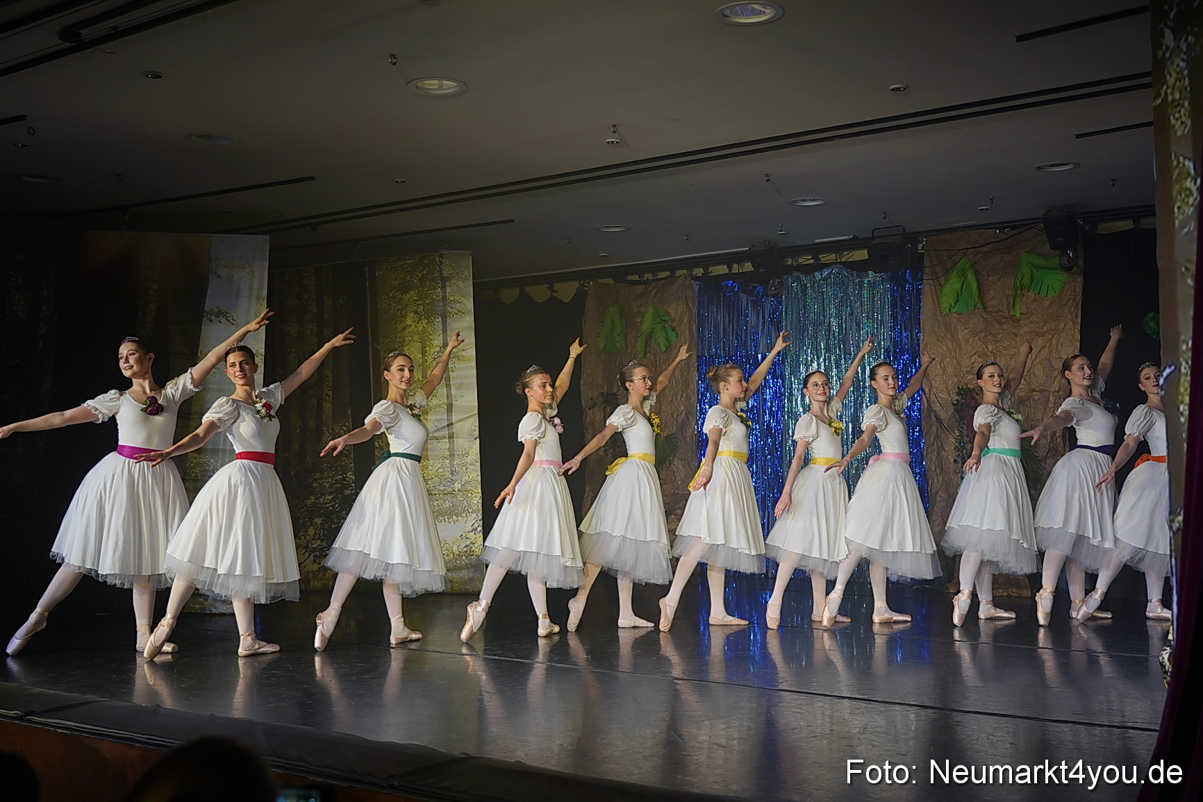 Die 12 tanzenden Prinzessinnen 0125